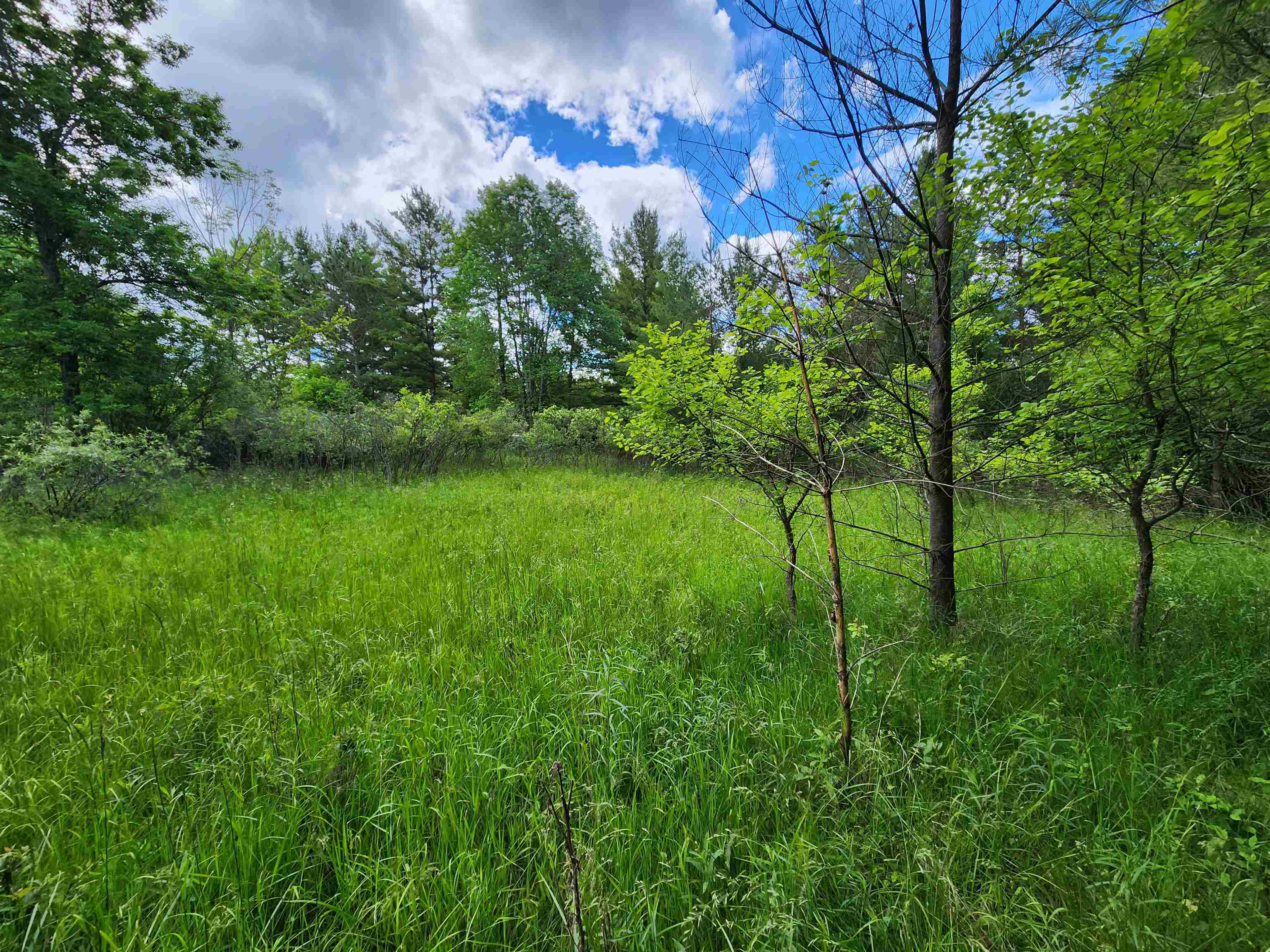 Lot 19 Huntington Circle Property Photo 4