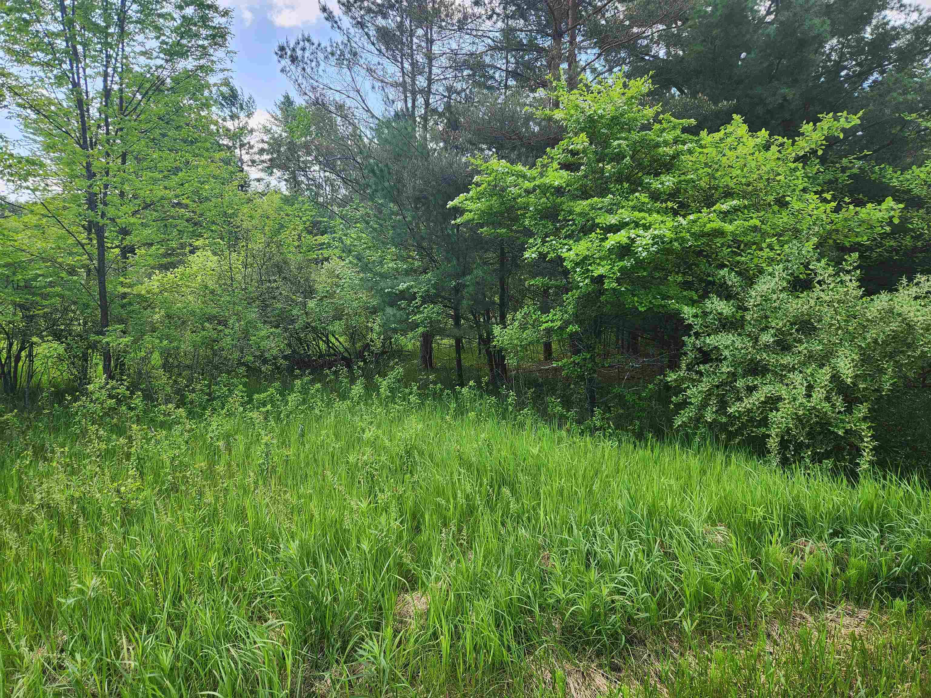 Lot 19 Huntington Circle Property Photo 2