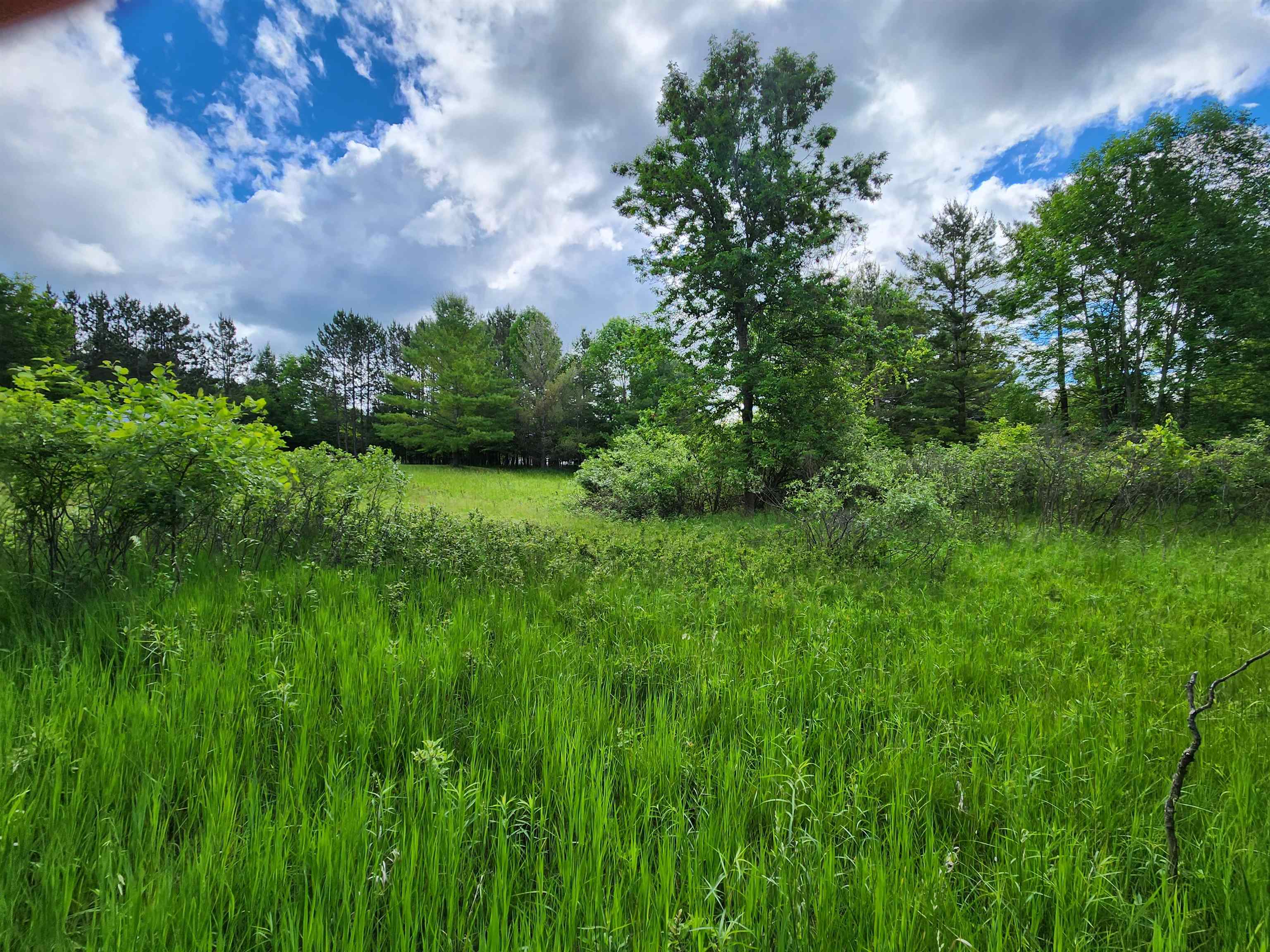 Lot 19 Huntington Circle Property Photo 3