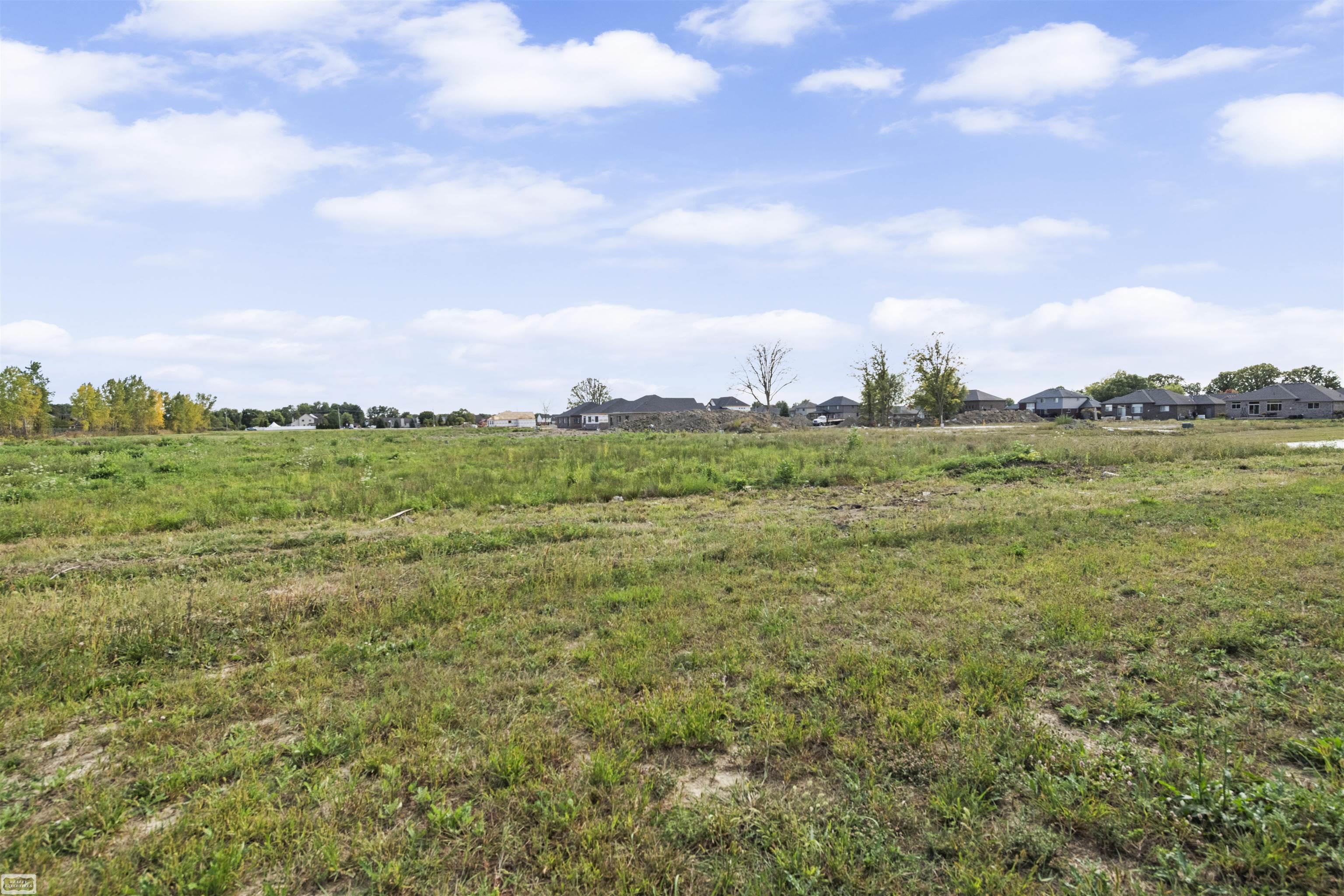 32160 Kenny Drive Property Photo 24