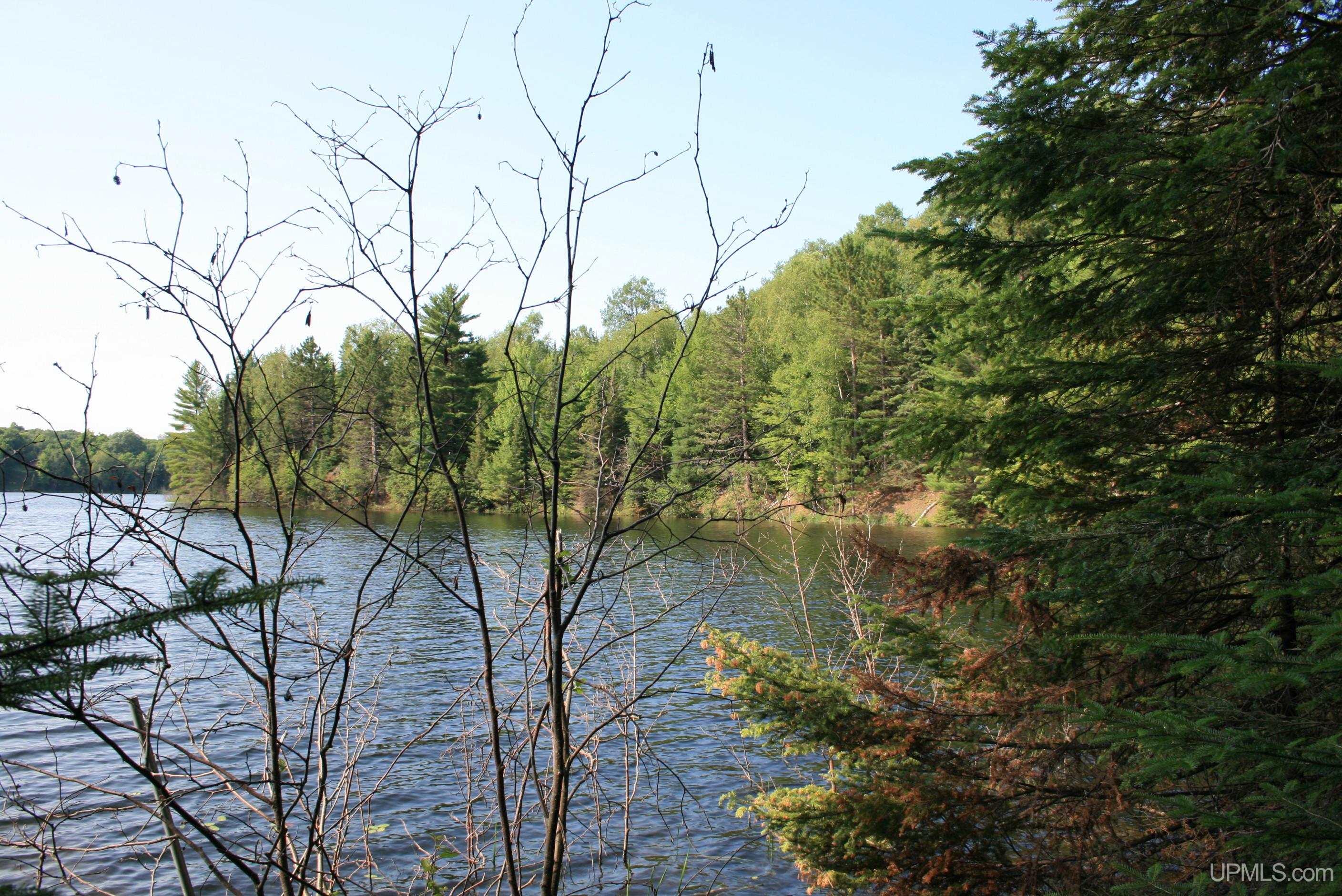 Tbd Sucker Lake Road Property Photo 1