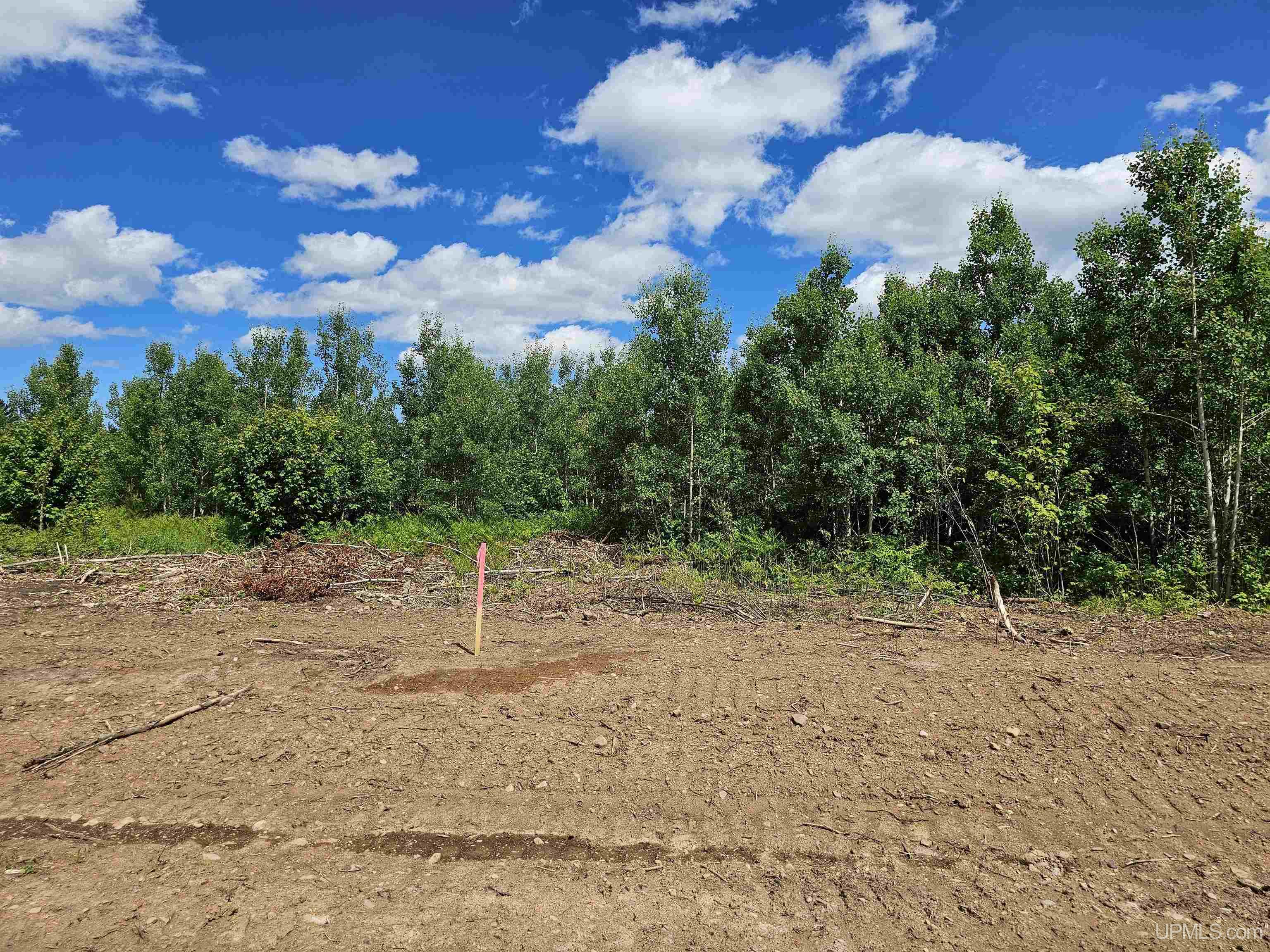 Tbd N Greenwood - 2 Drive Property Photo 1