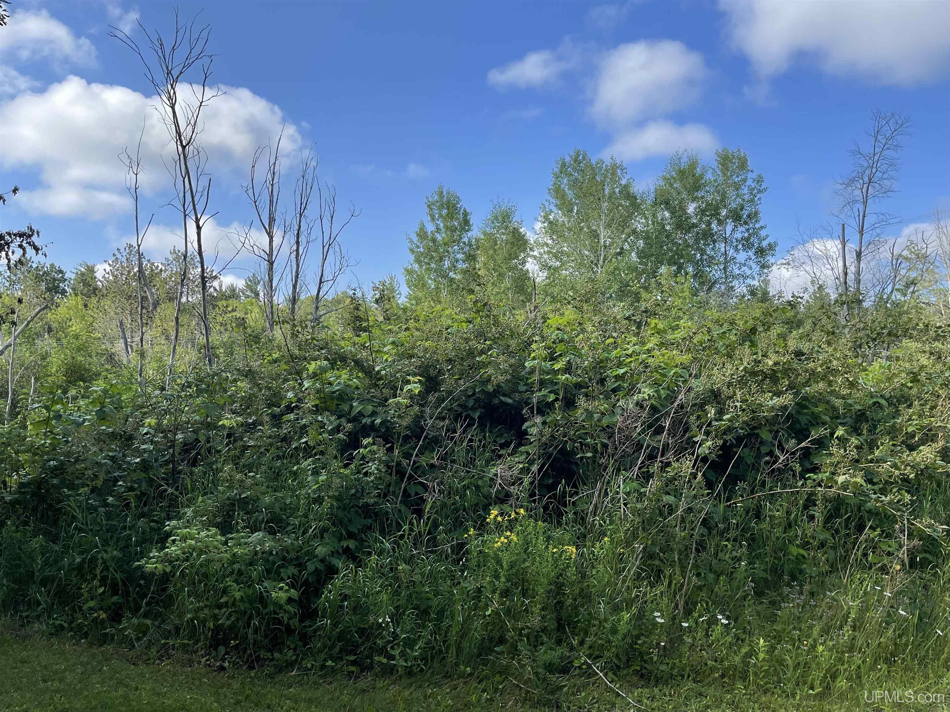 Tbd County Road 492 Property Photo 3
