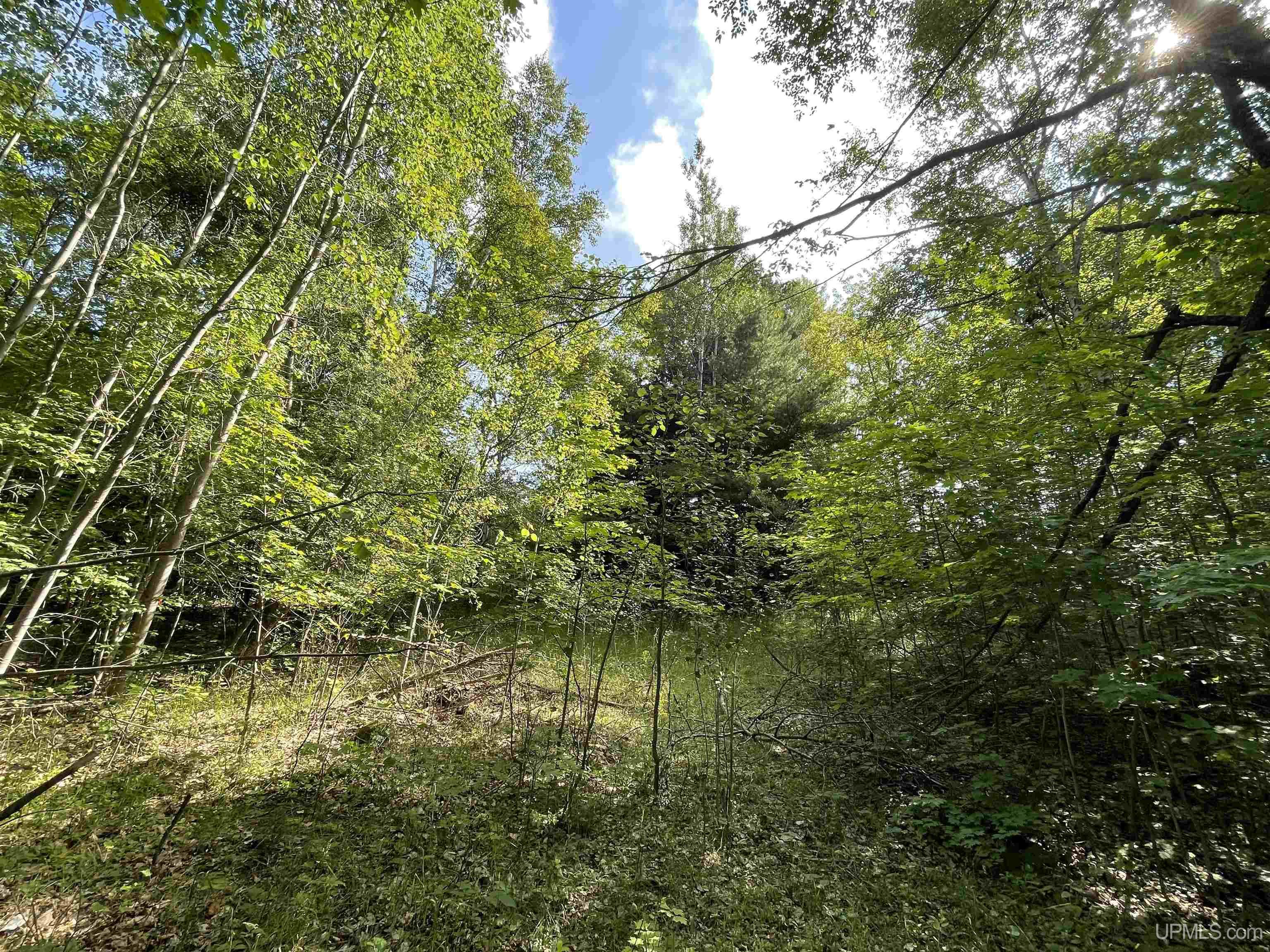 Tbd County Road 492 Property Photo 5