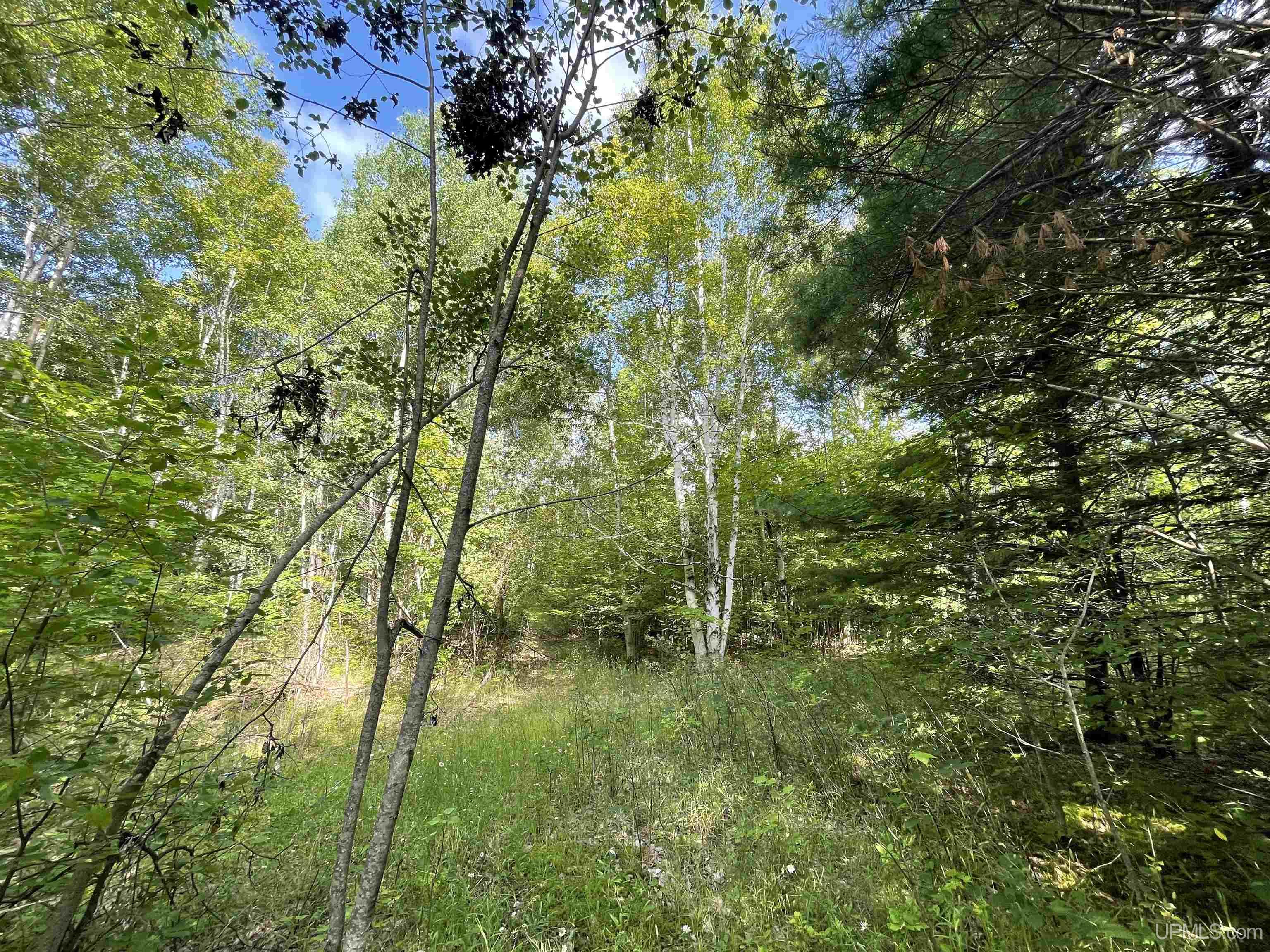 Tbd County Road 492 Property Photo 6