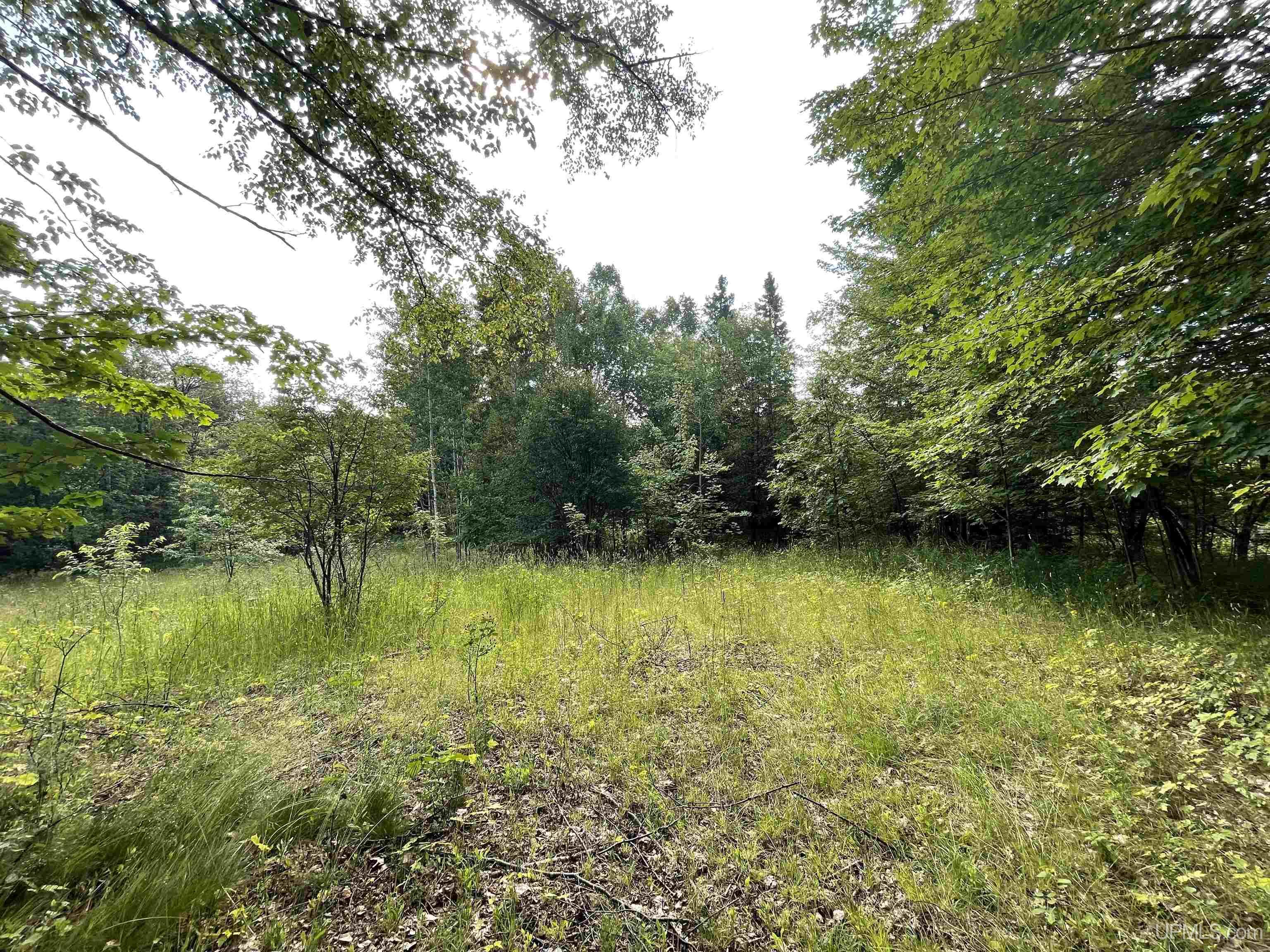Tbd County Road 492 Property Photo 10