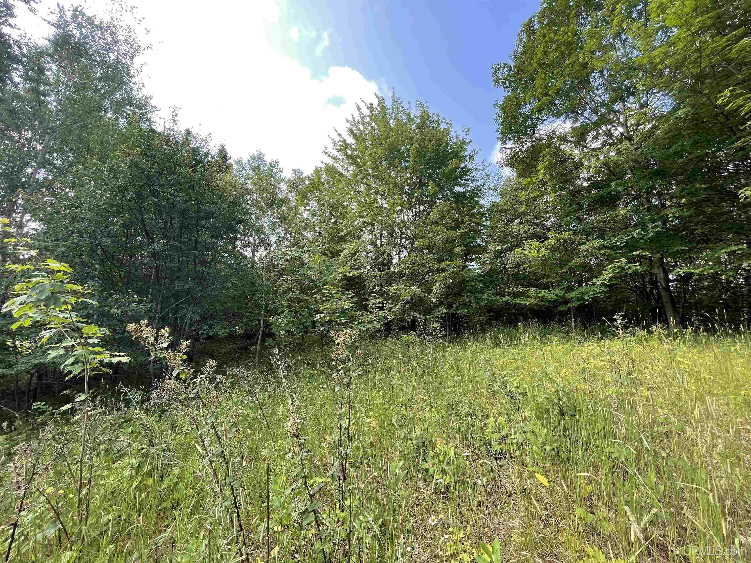 Tbd County Road 492 Property Photo 11