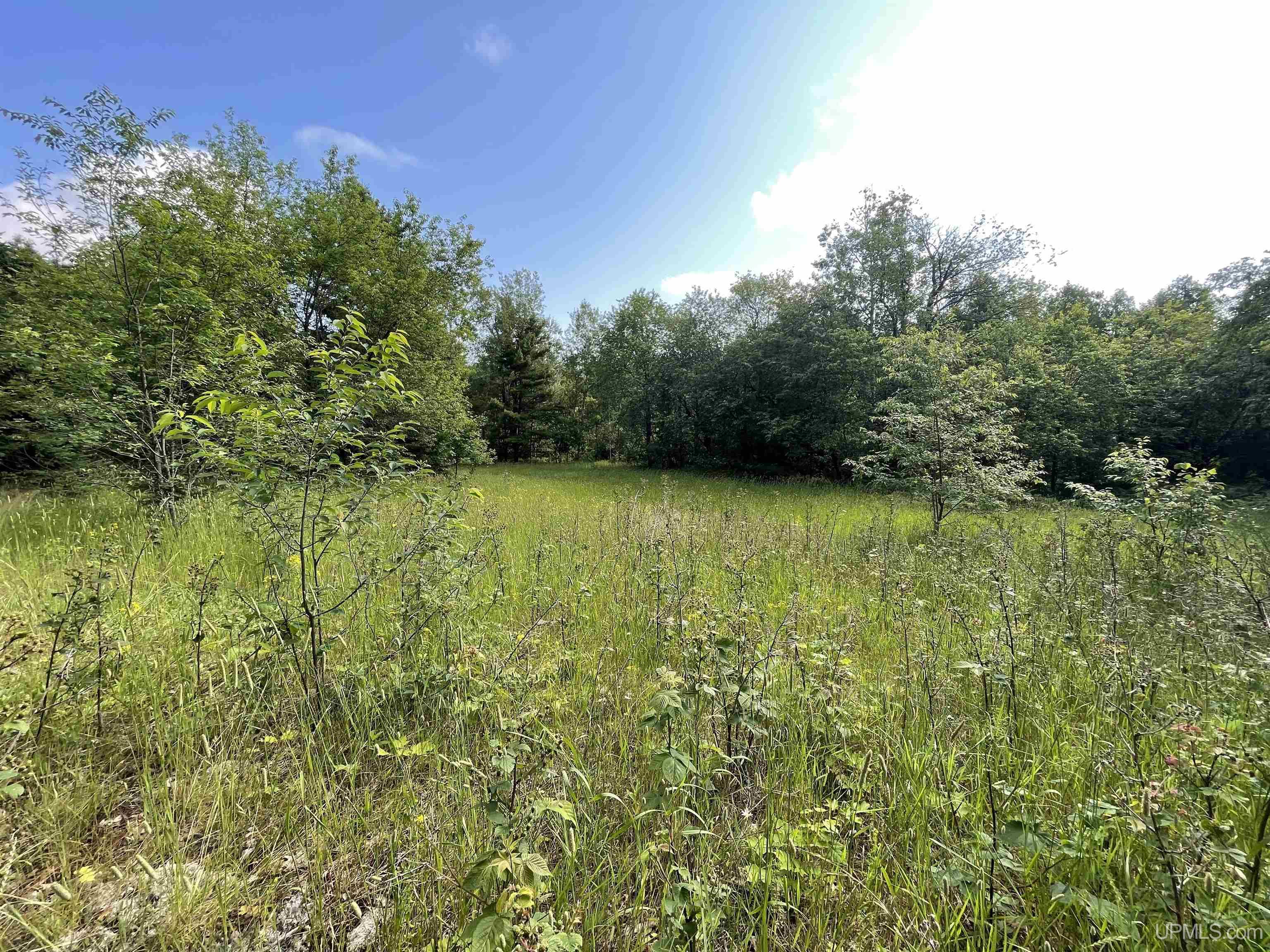 Tbd County Road 492 Property Photo 12