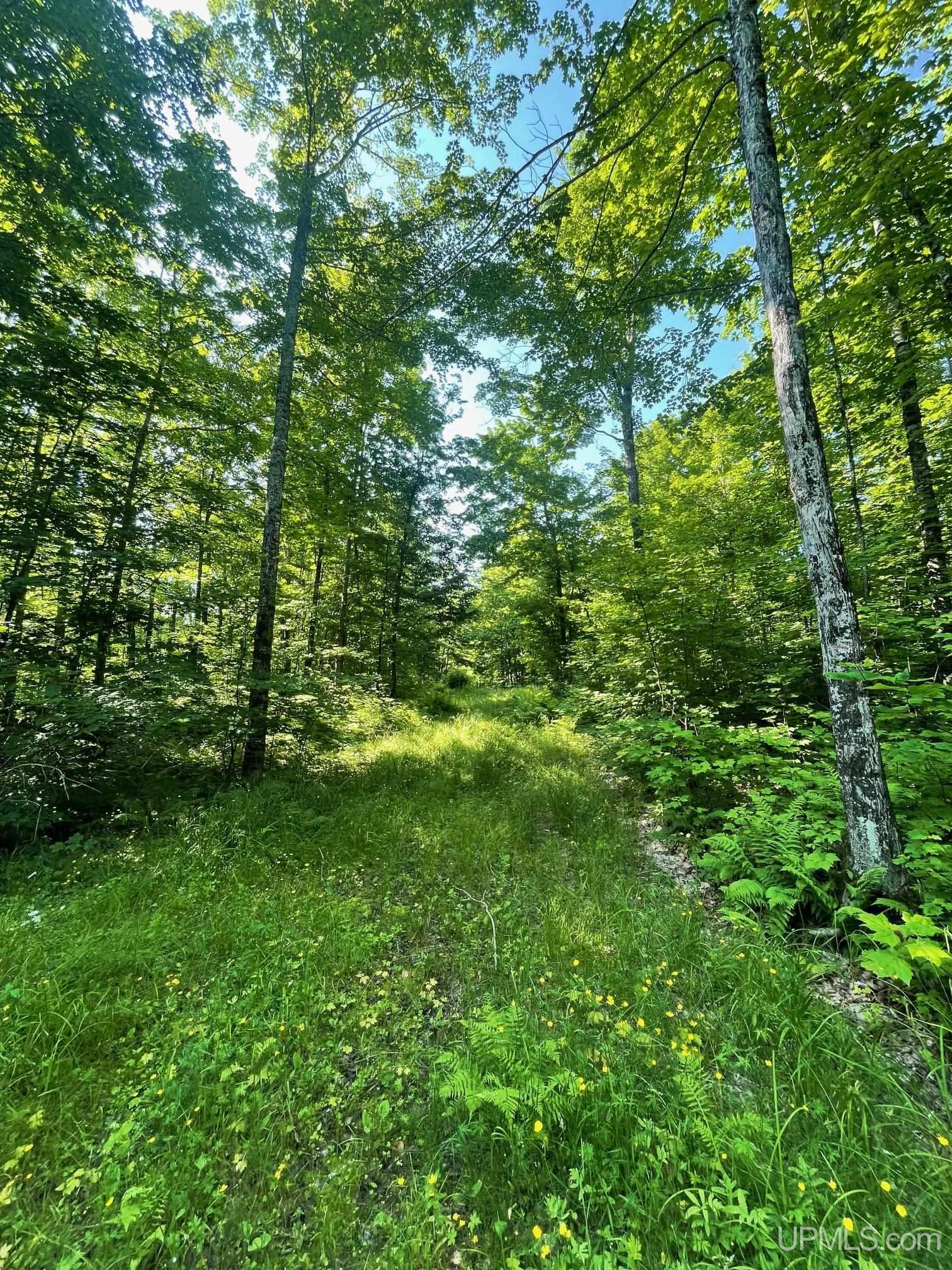 Tbd A Off Gay Road Property Photo 1