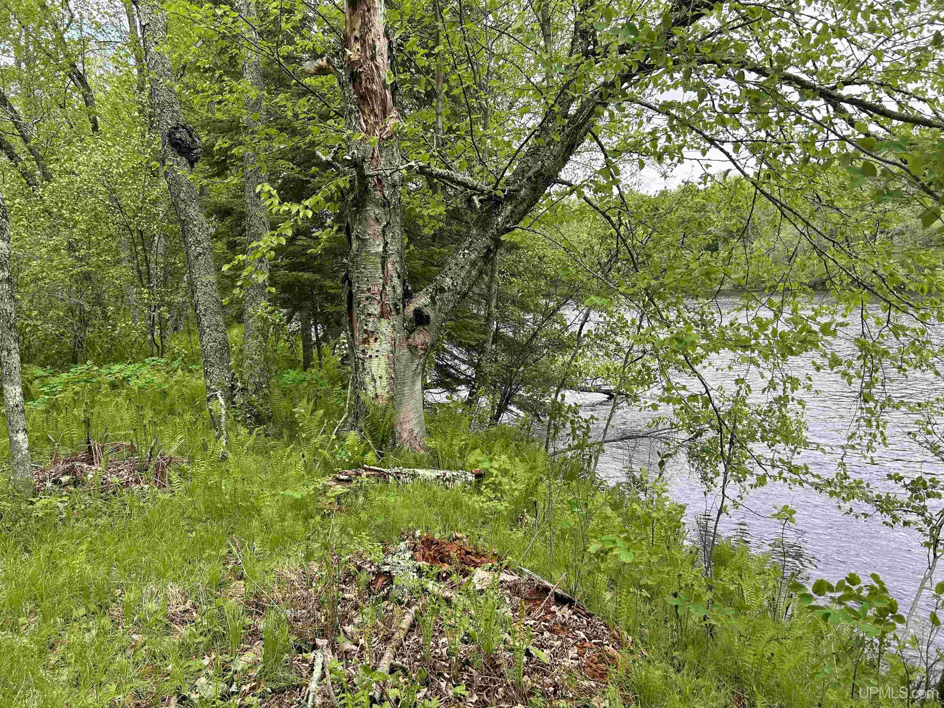 Tbd Camel Clearing Road Property Photo 9