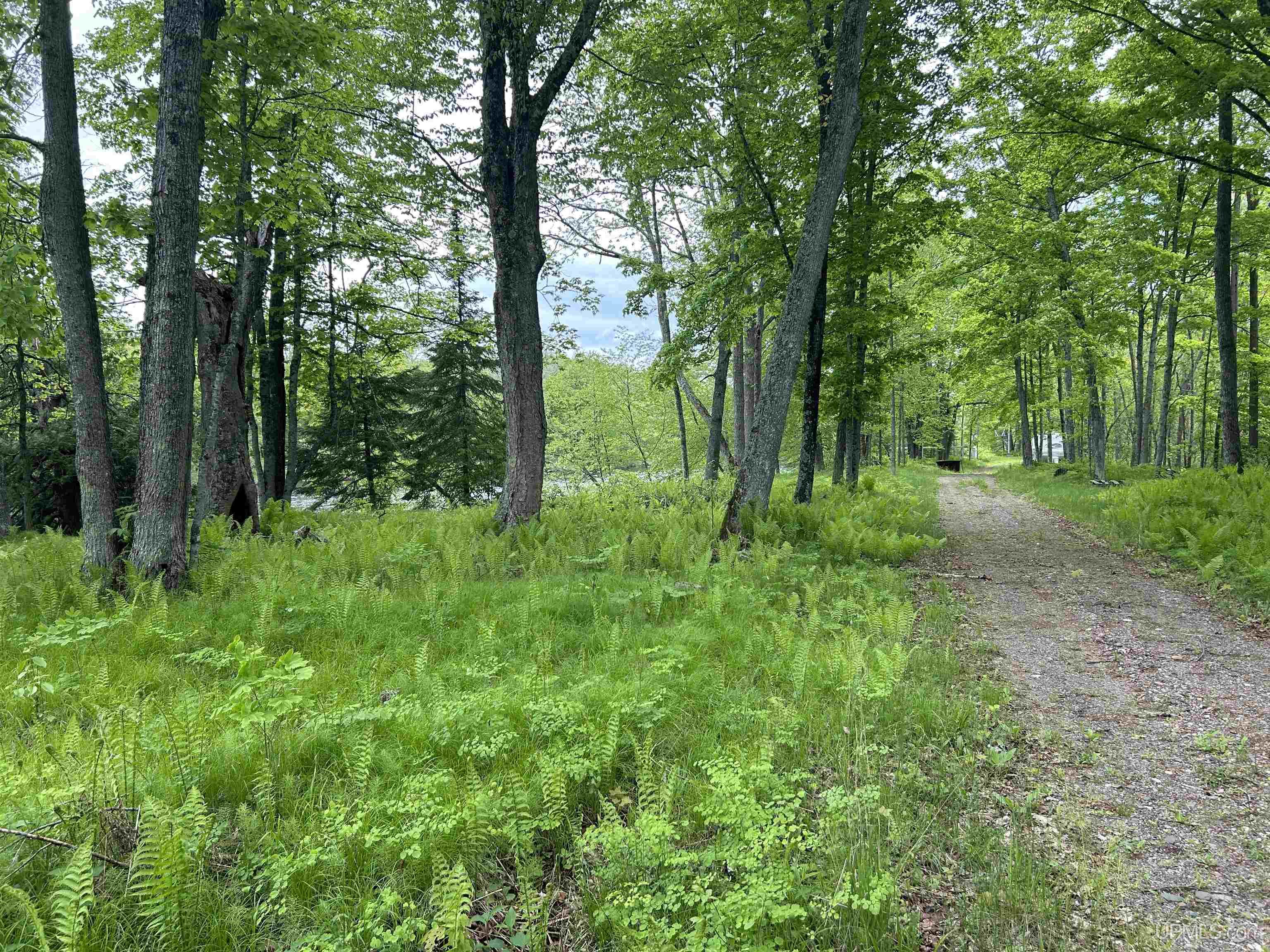 Tbd Camel Clearing Road Property Photo 11