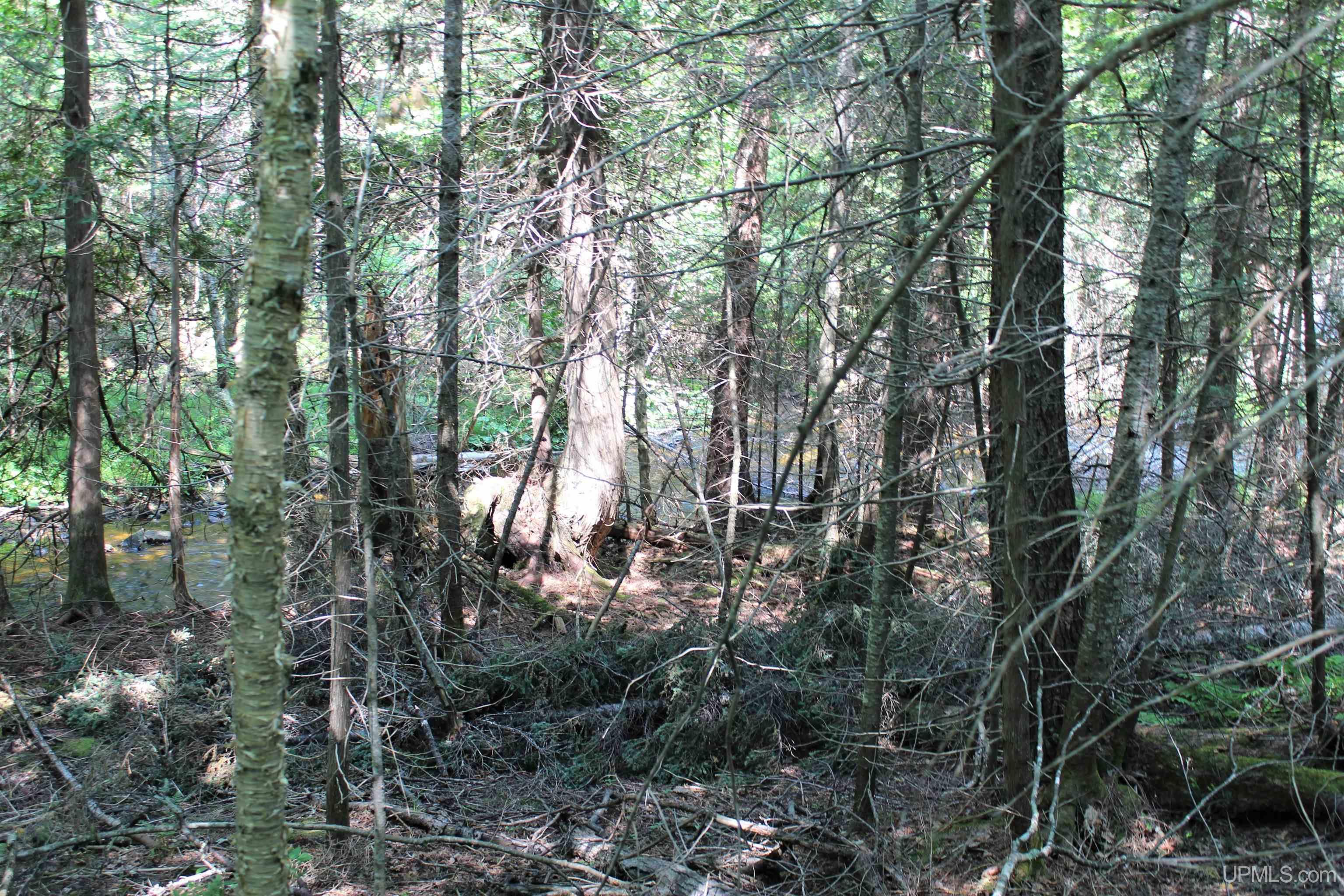 On W Shingleton Road Property Photo 7