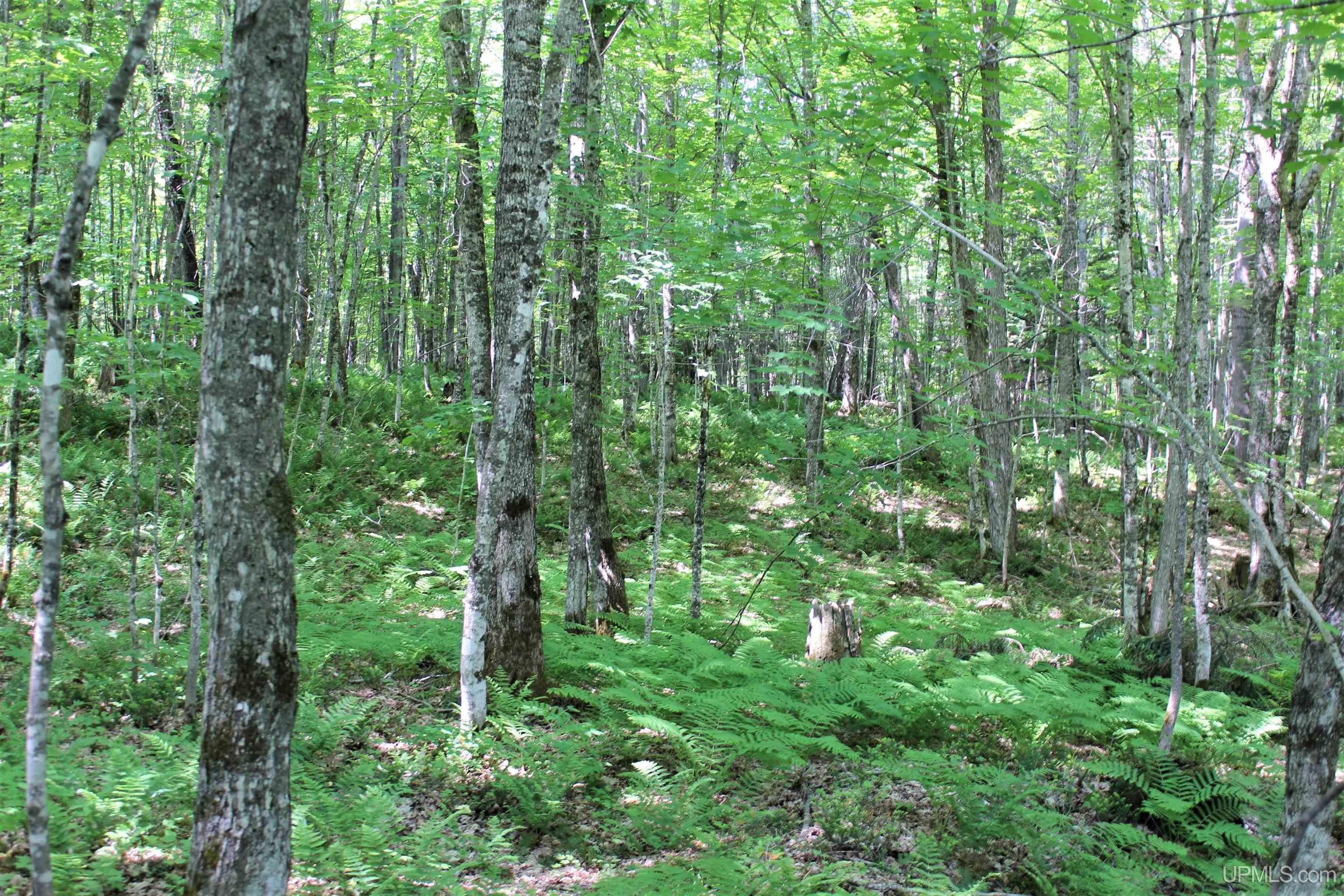 On W Shingleton Road Property Photo 10