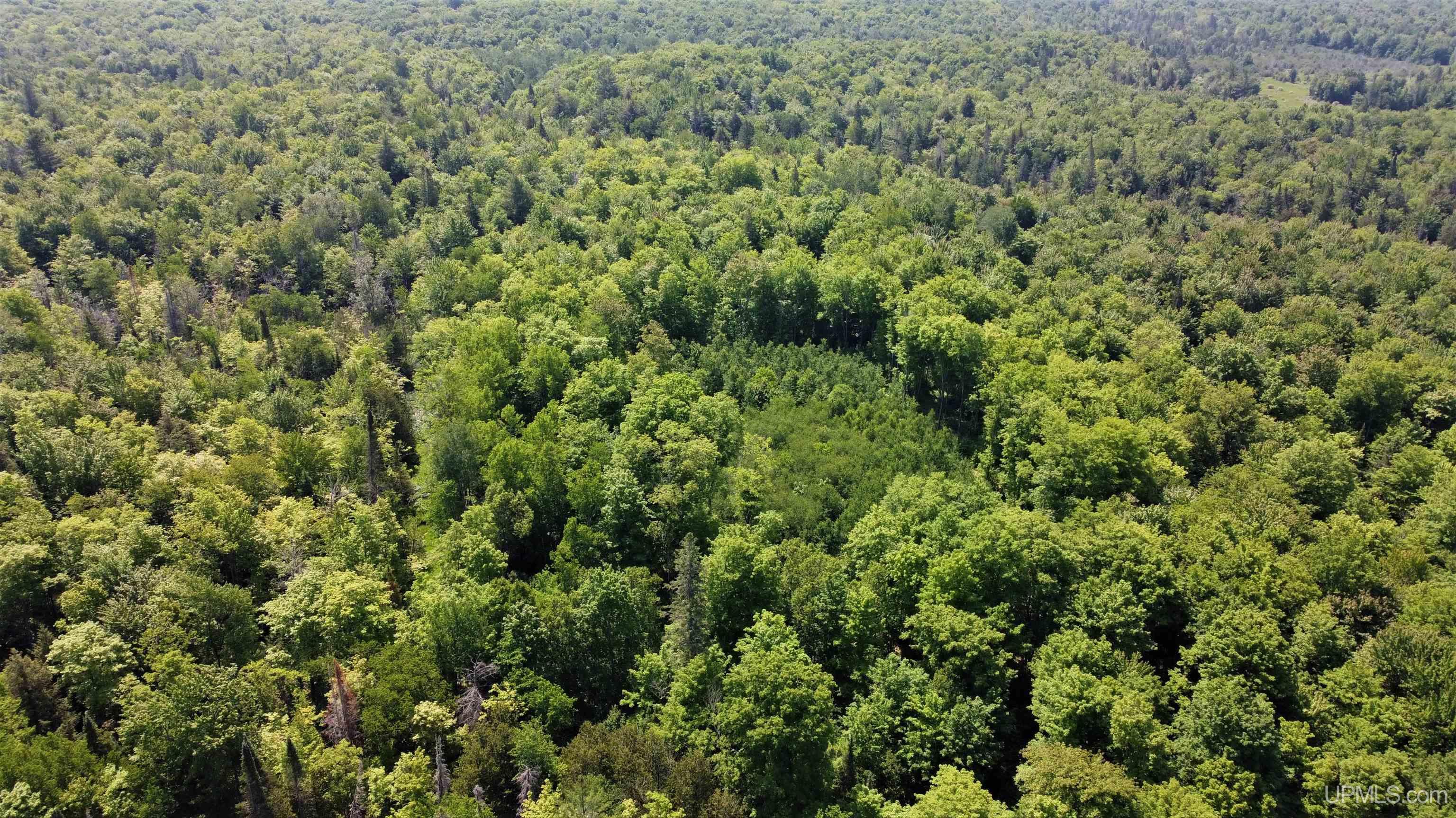 On W Shingleton Road Property Photo 11