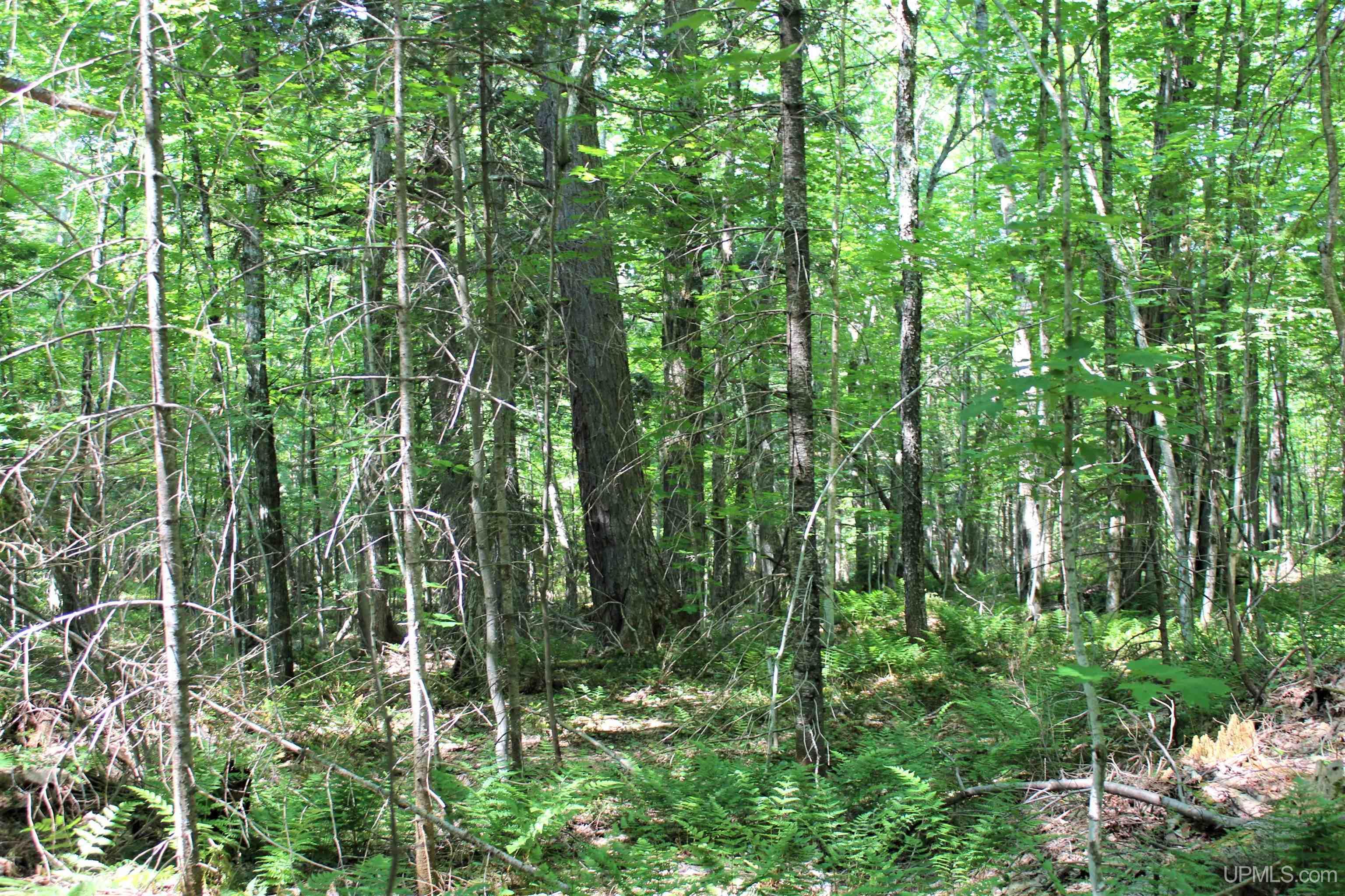 On W Shingleton Road Property Photo 16
