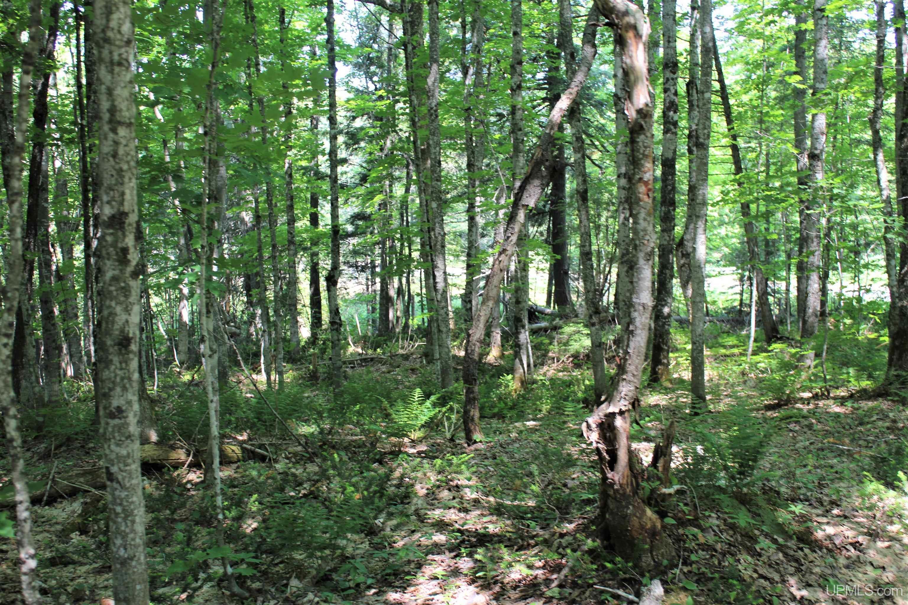 On W Shingleton Road Property Photo 17