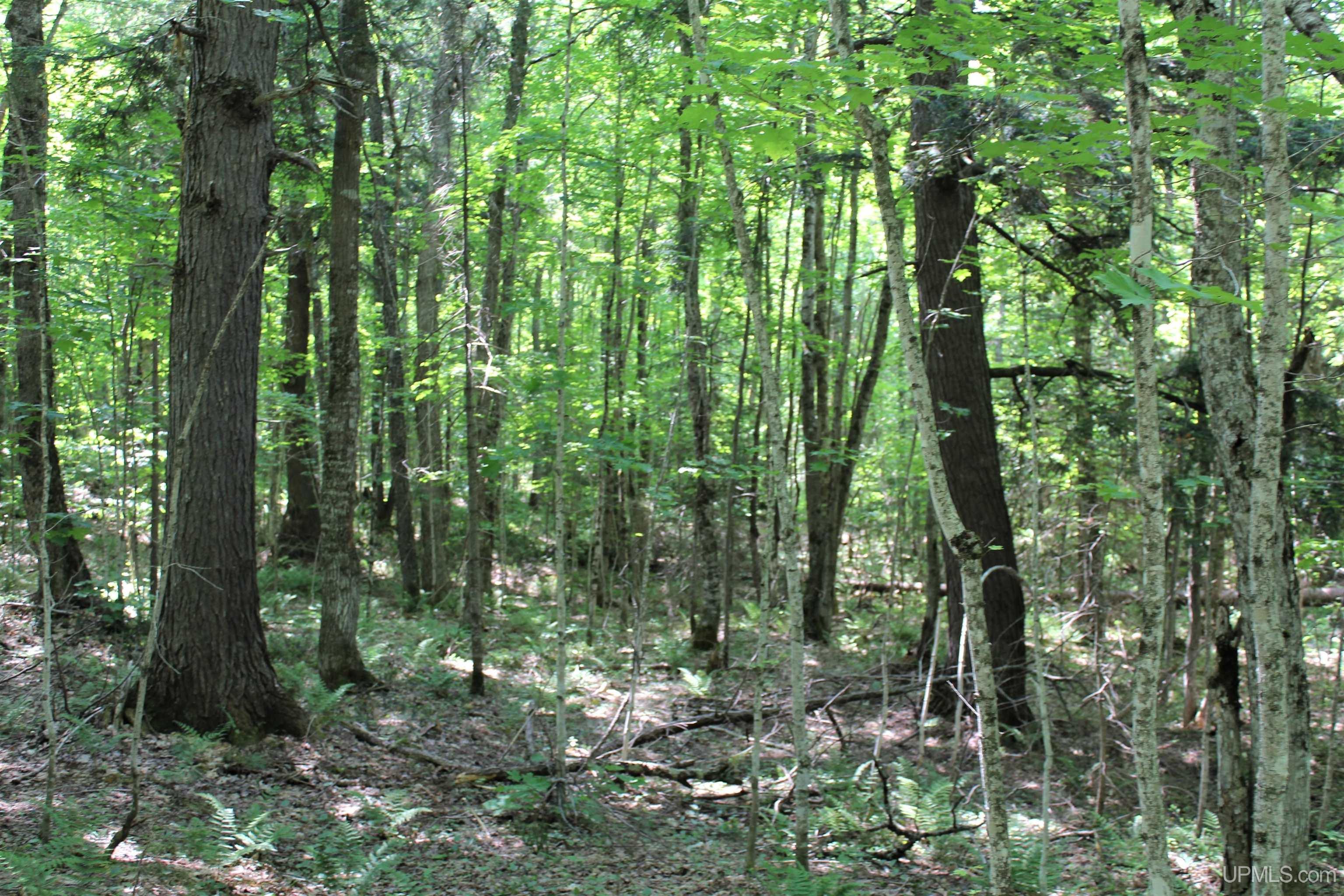 On W Shingleton Road Property Photo 18