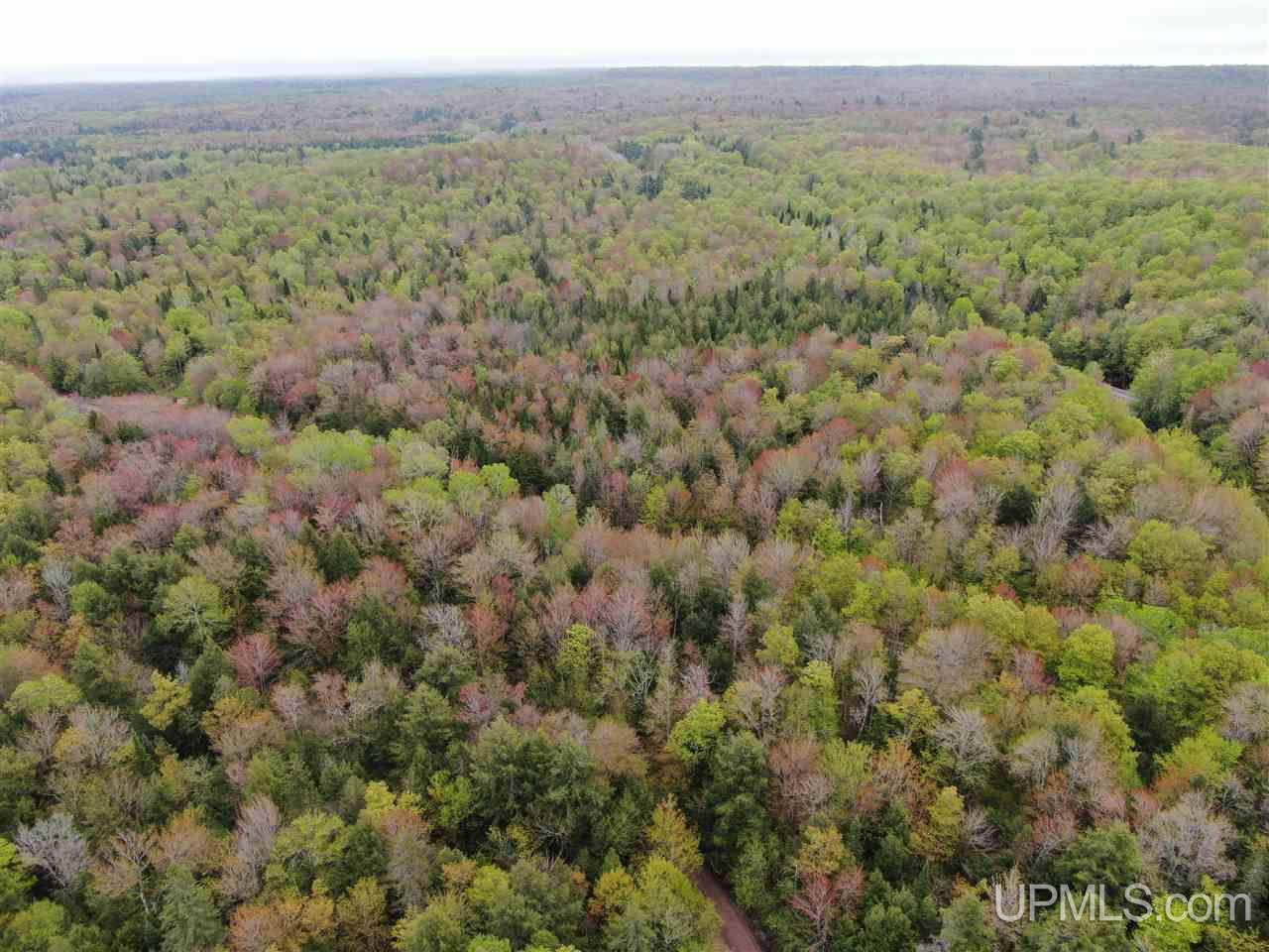 0000 County Road 577 Road Property Photo 1