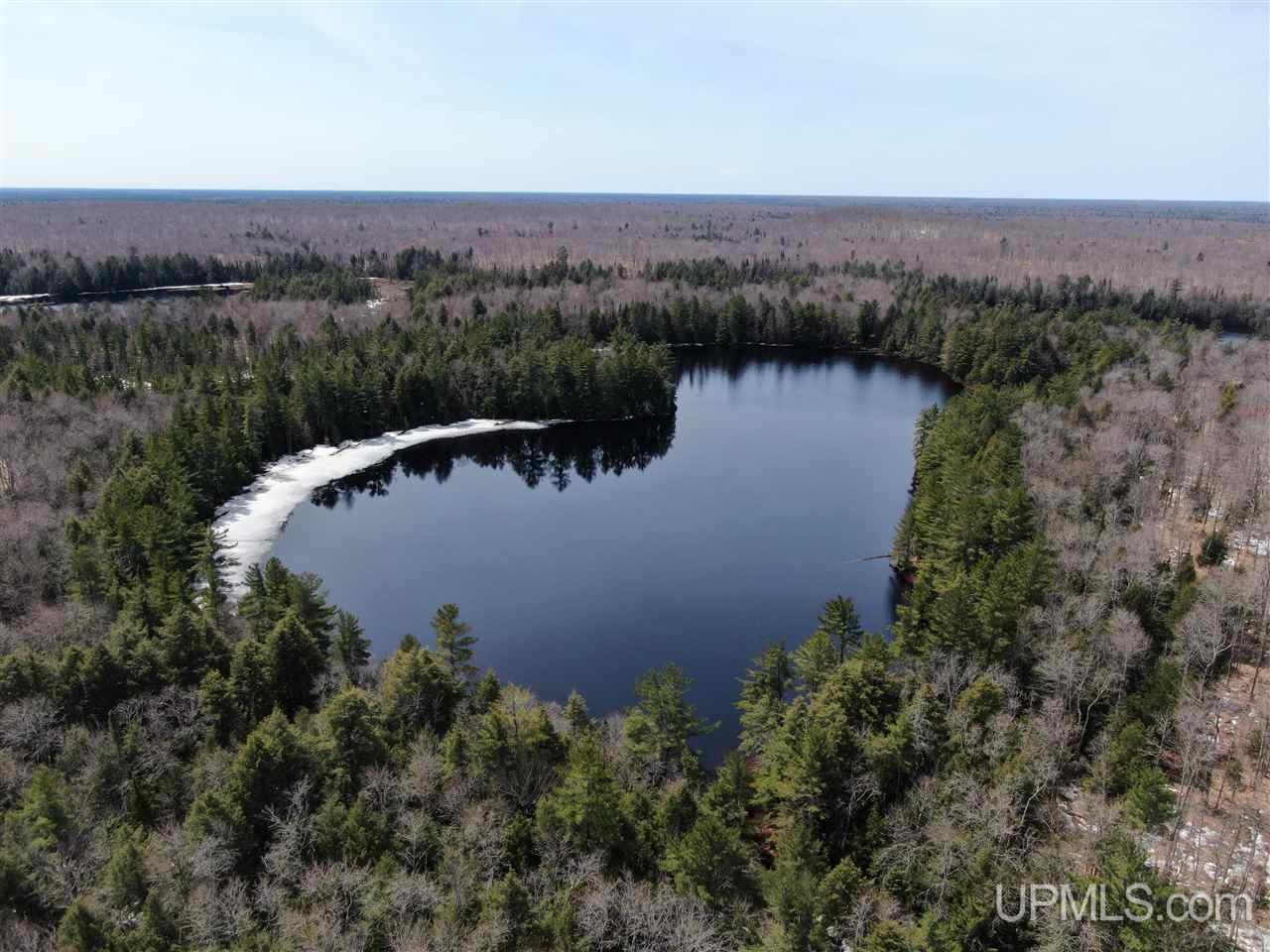 0000 Near Old Seney Road Property Photo 2