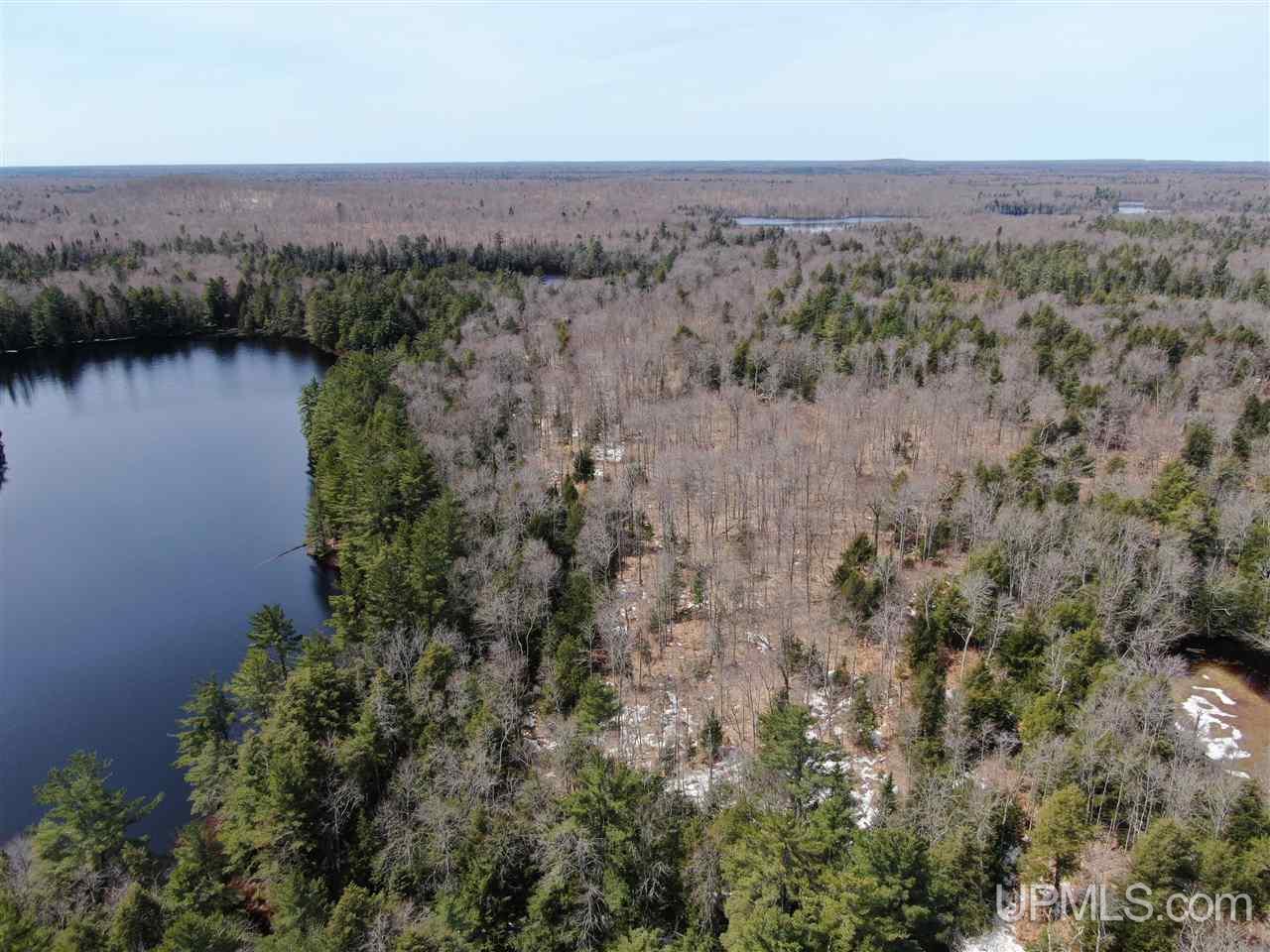 0000 Near Old Seney Road Property Photo 3