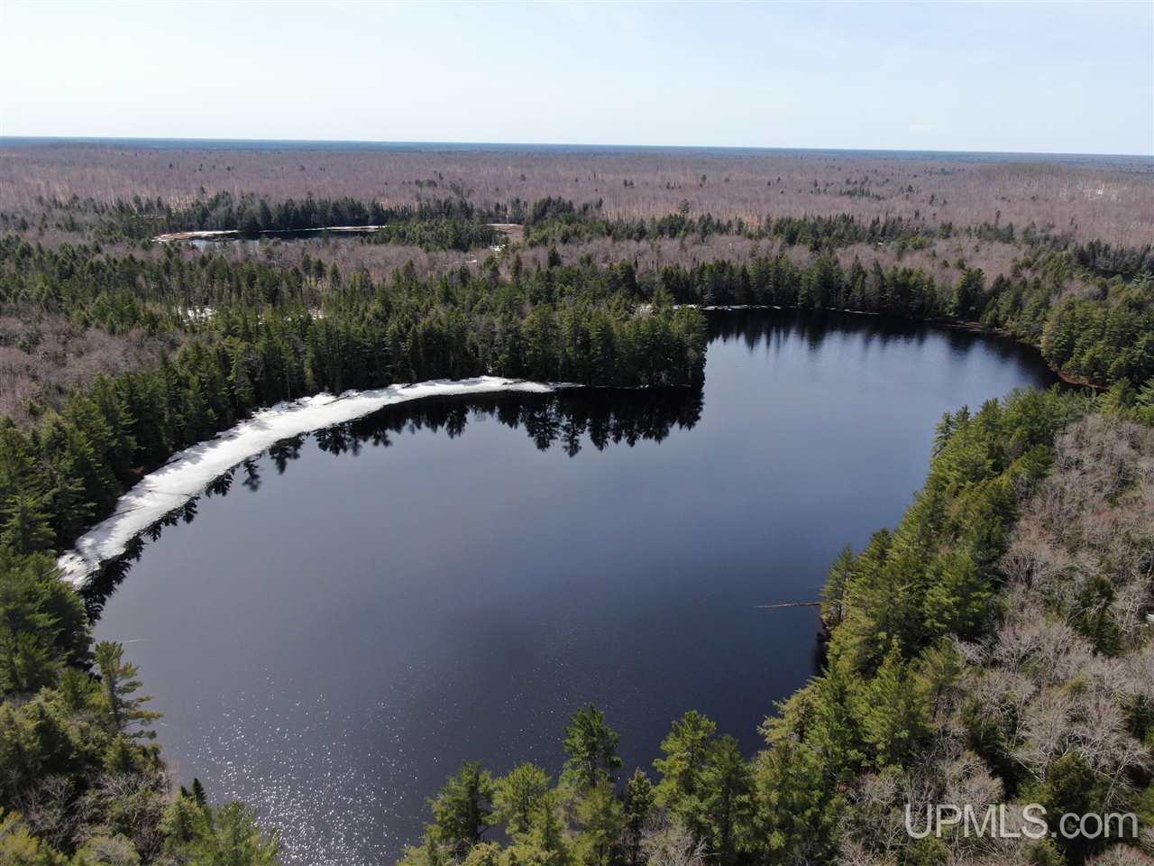0000 Near Old Seney Road Property Photo 4