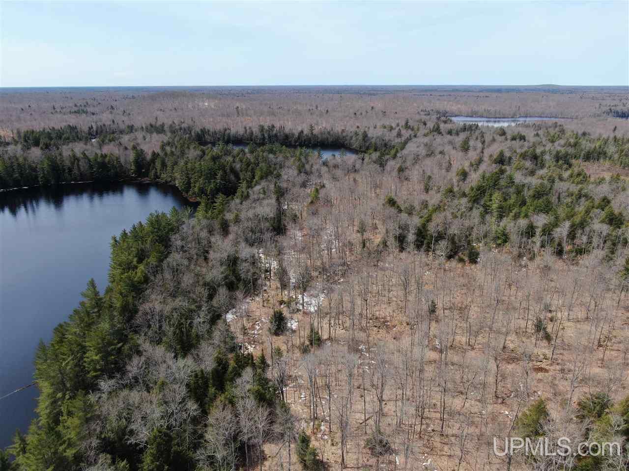 0000 Near Old Seney Road Property Photo 5
