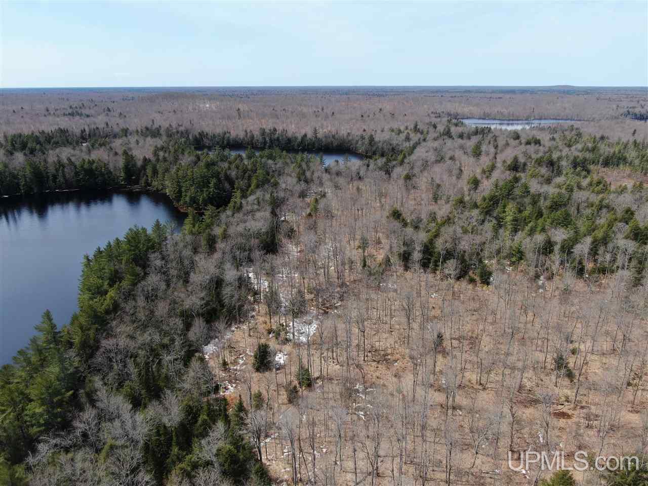 0000 Near Old Seney Road Property Photo 6
