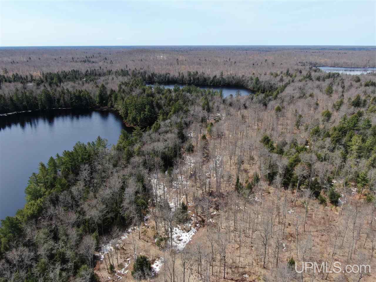 0000 Near Old Seney Road Property Photo 7