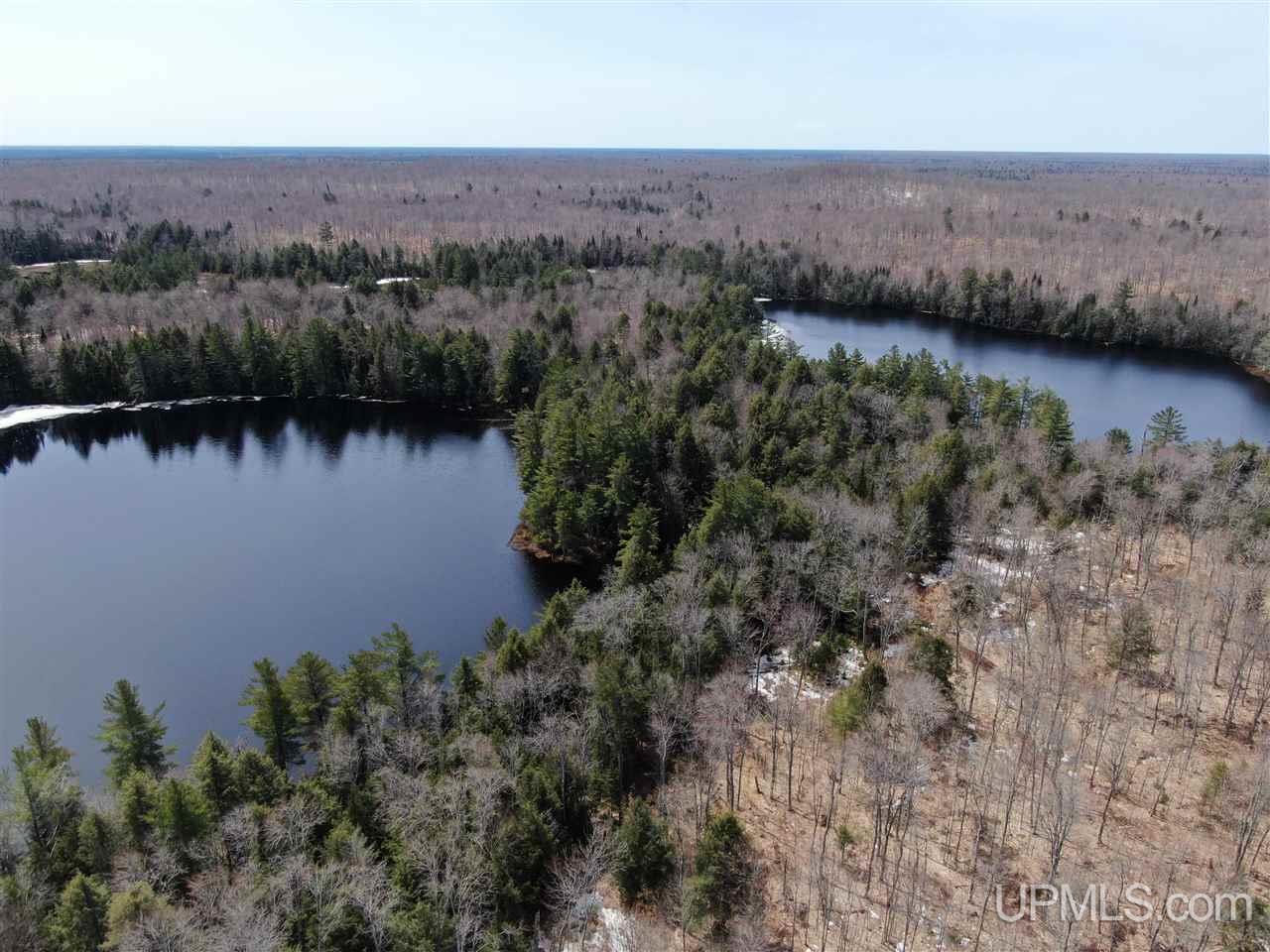 0000 Near Old Seney Road Property Photo 8