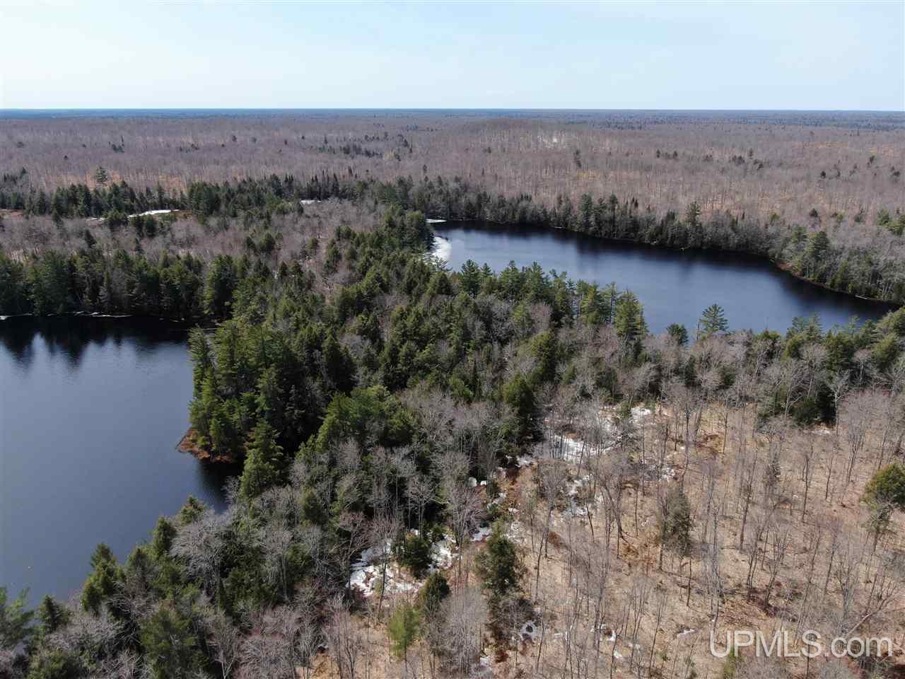 0000 Near Old Seney Road Property Photo 9