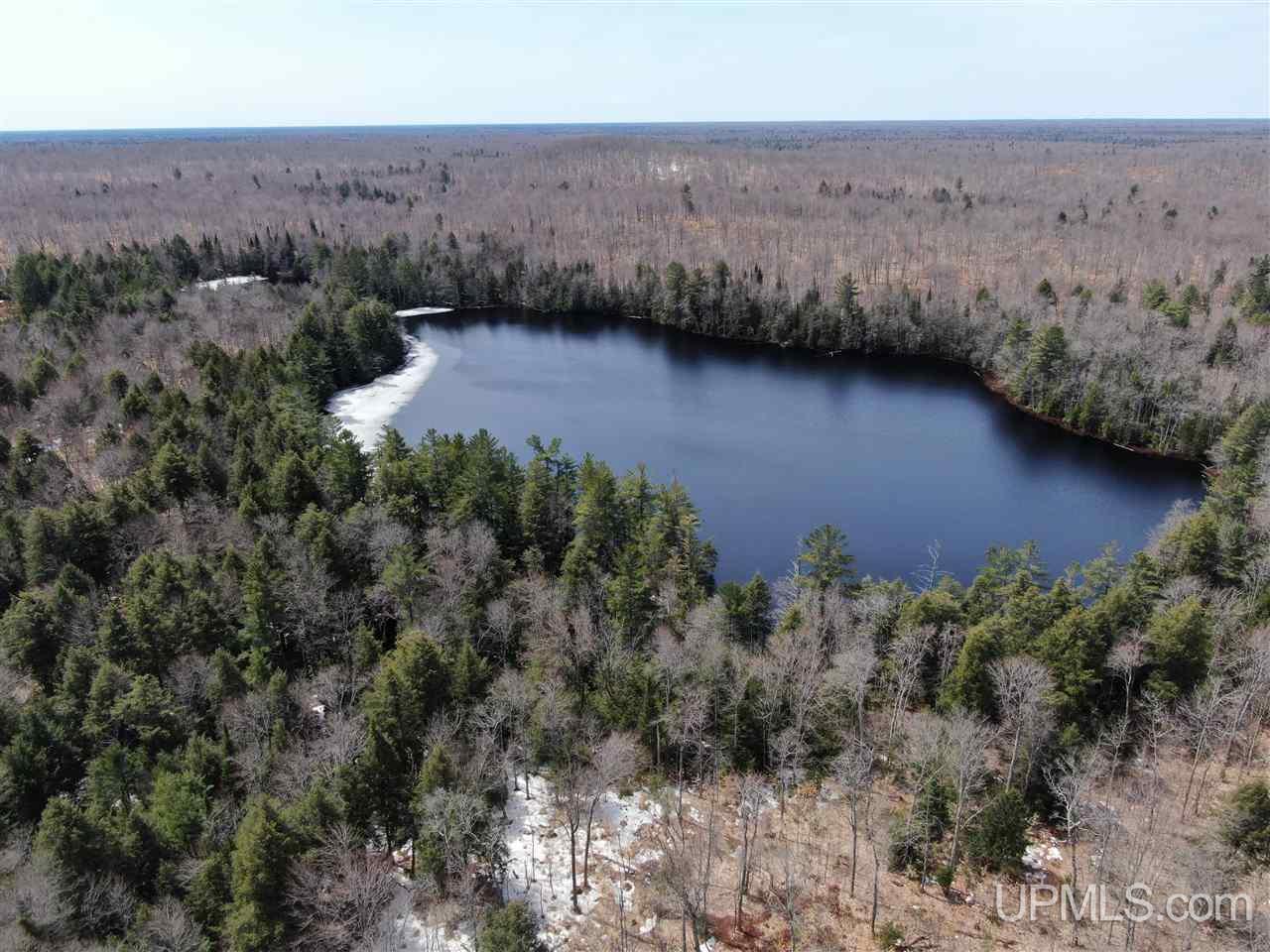 0000 Near Old Seney Road Property Photo 10