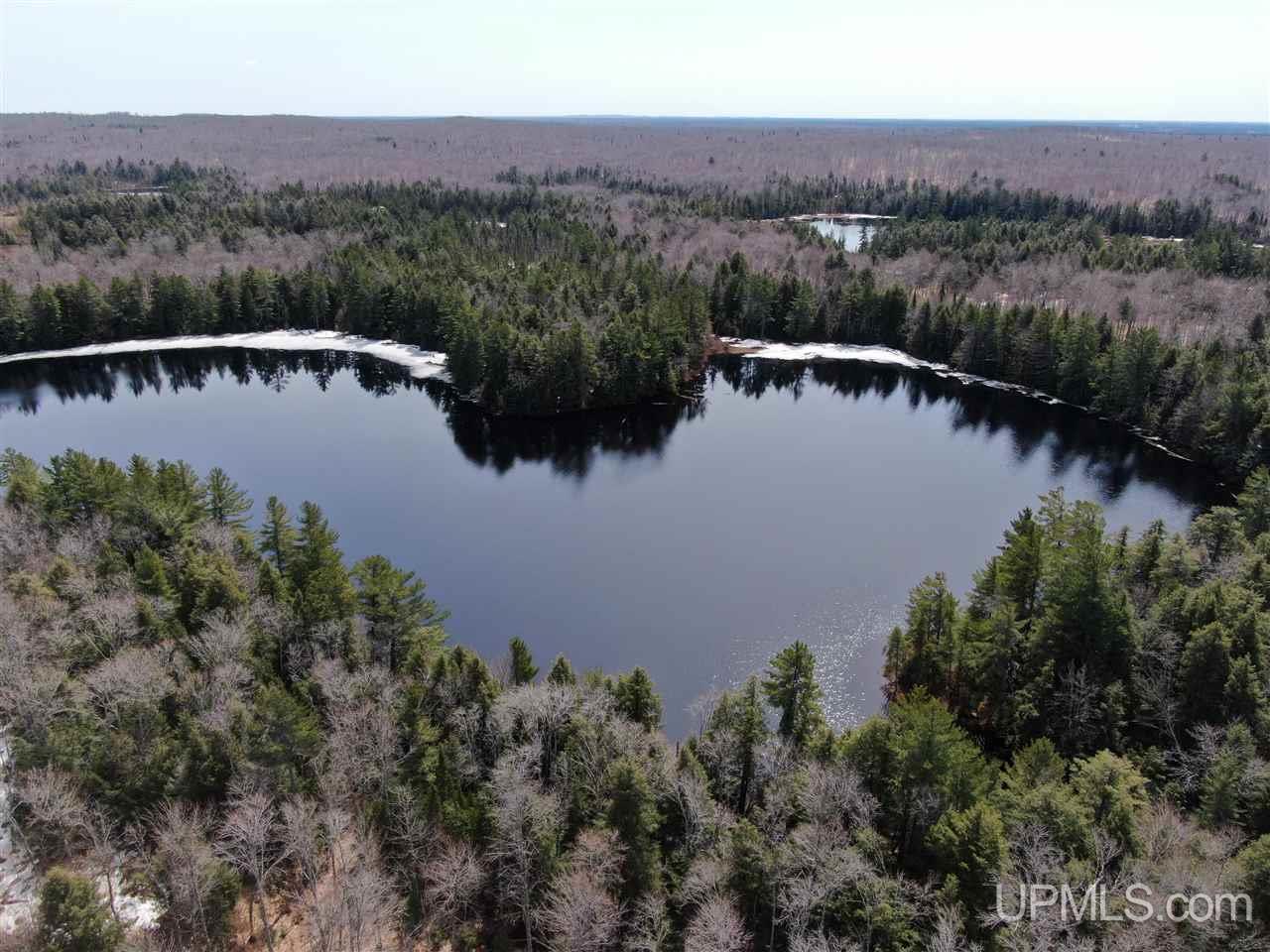 0000 Near Old Seney Road Property Photo 11