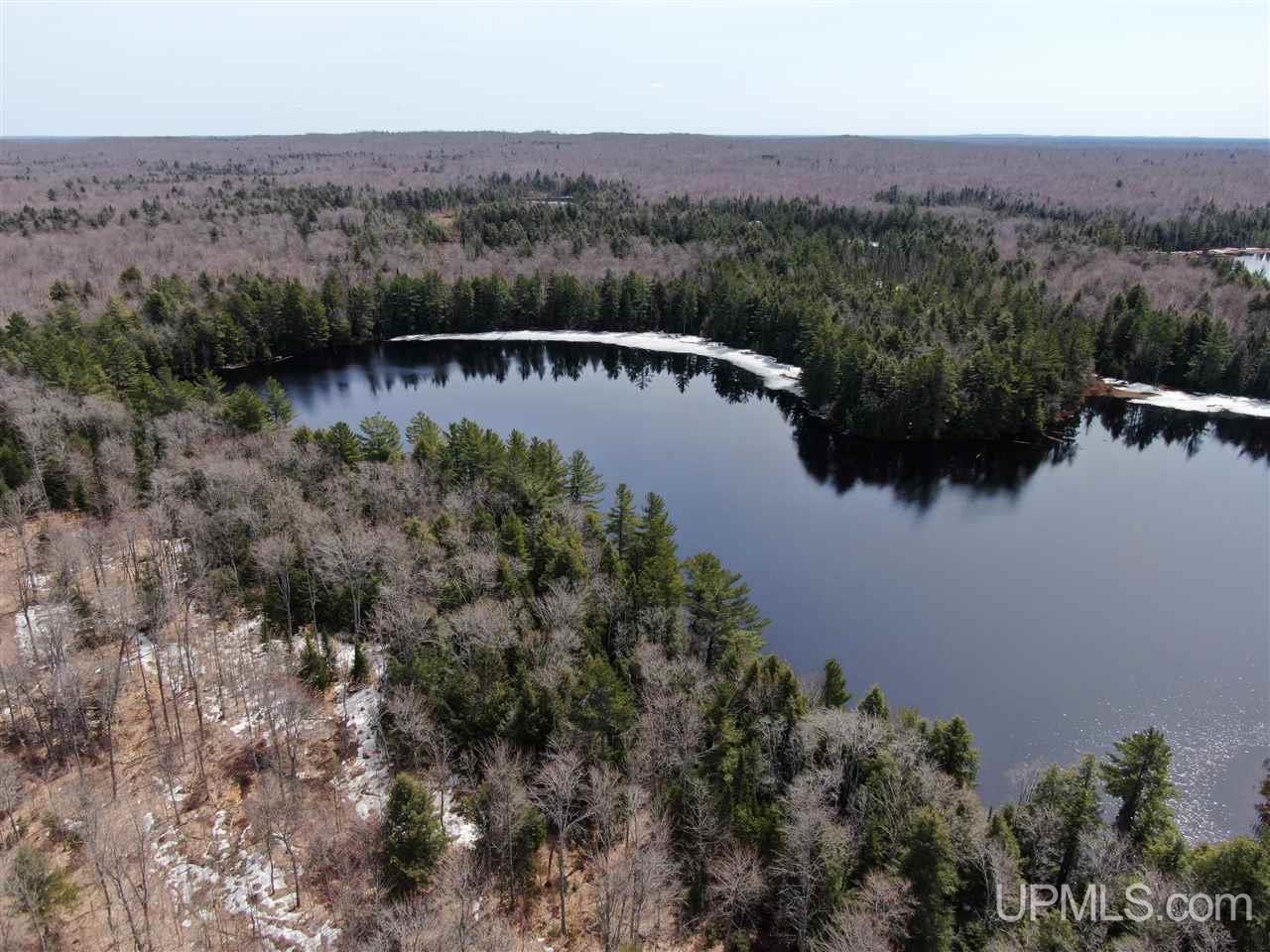 0000 Near Old Seney Road Property Photo 12