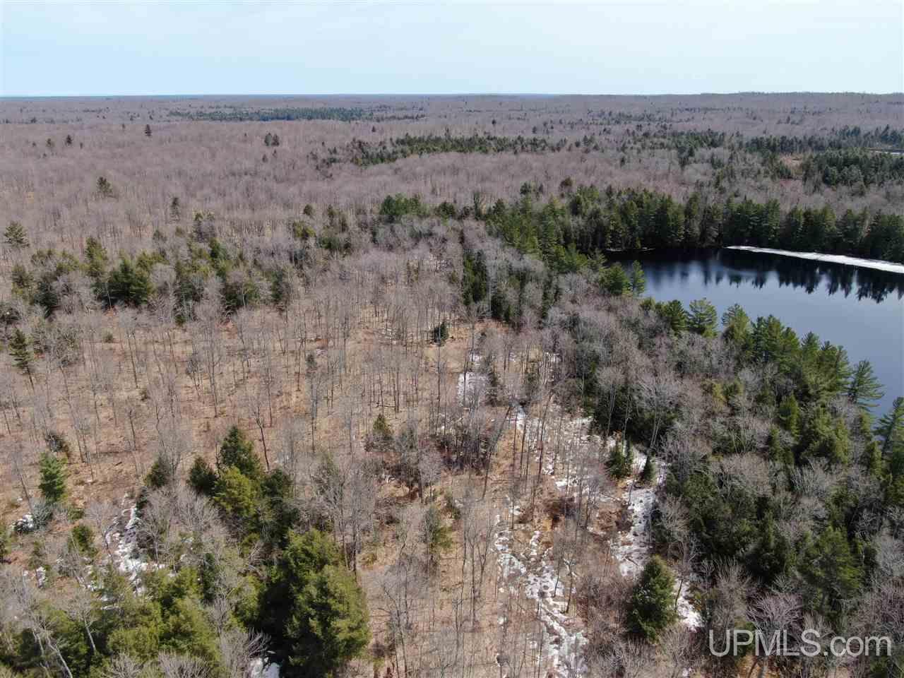 0000 Near Old Seney Road Property Photo 13
