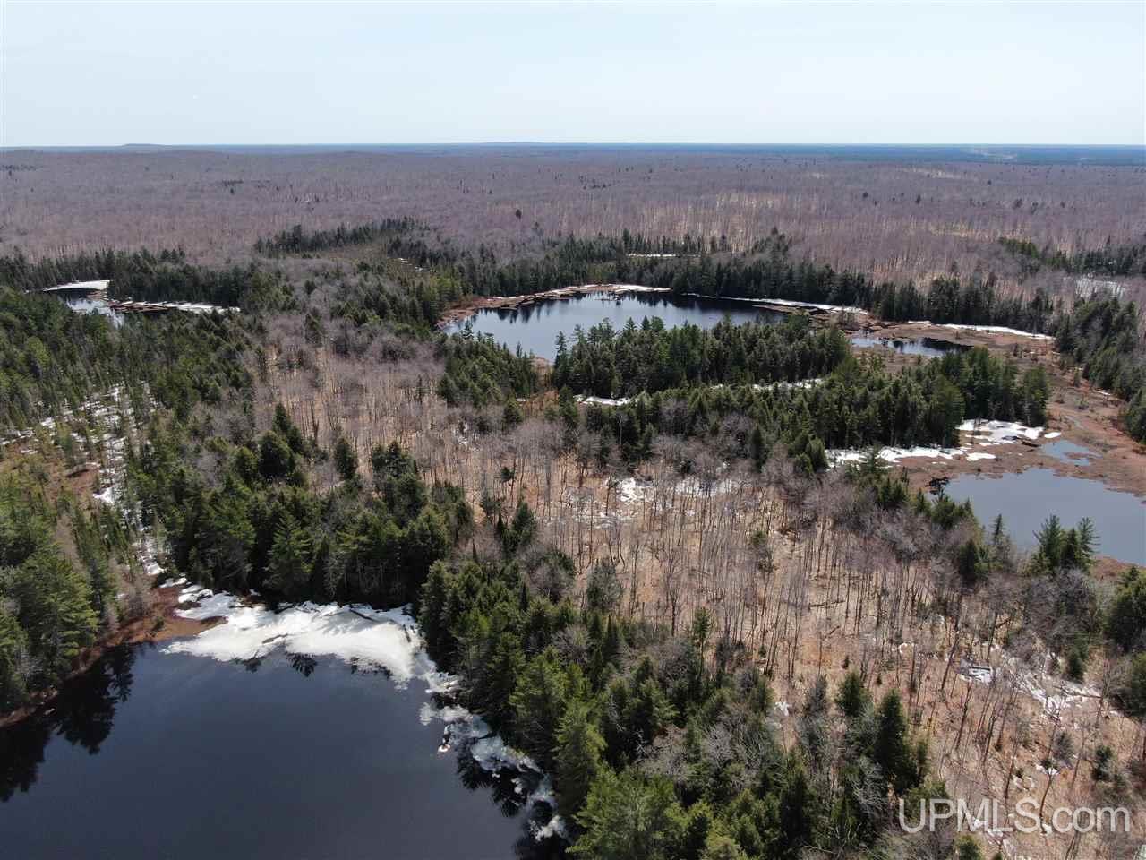 0000 Near Old Seney Road Property Photo 14