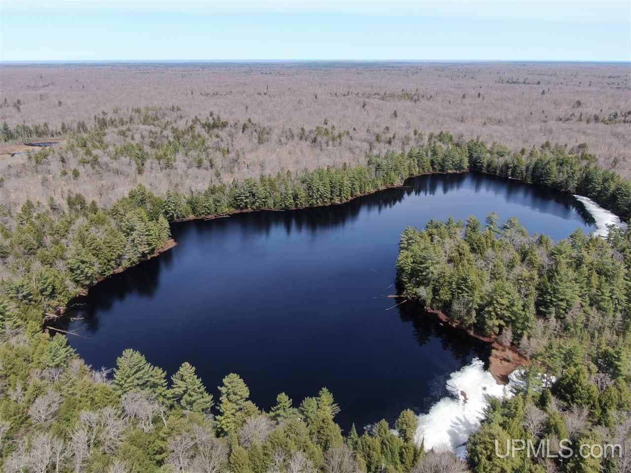 0000 Near Old Seney Road Property Photo 15