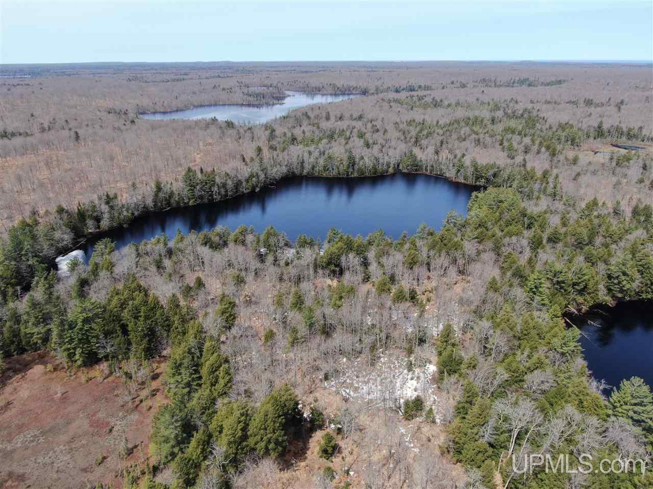0000 Near Old Seney Road Property Photo 16