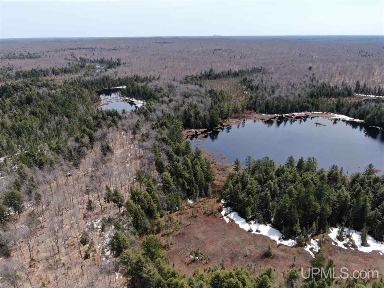 0000 Near Old Seney Road Property Photo 17