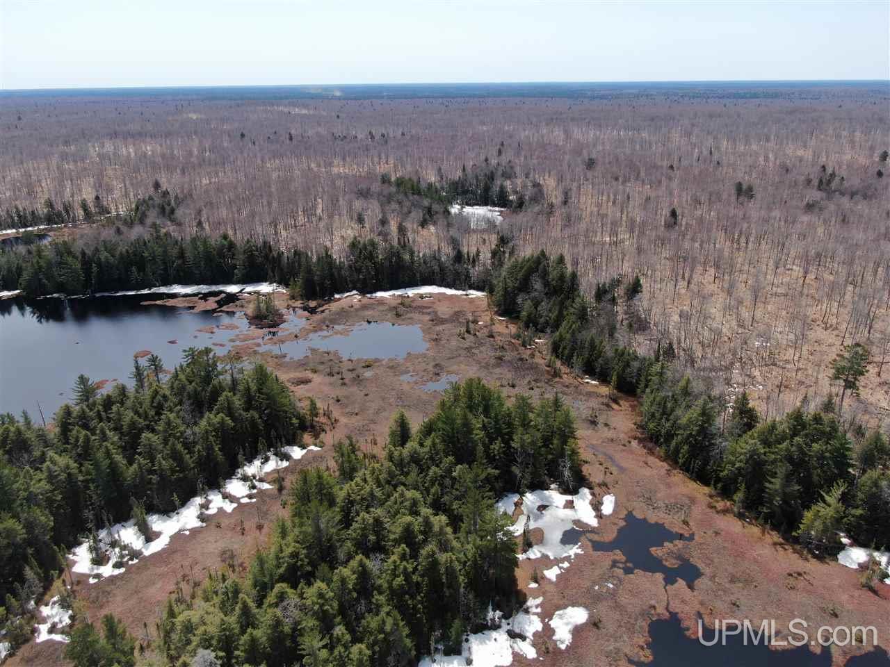 0000 Near Old Seney Road Property Photo 18