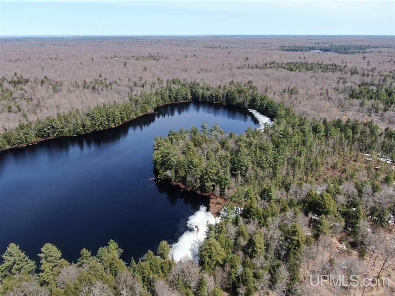 0000 Near Old Seney Road Property Photo 19