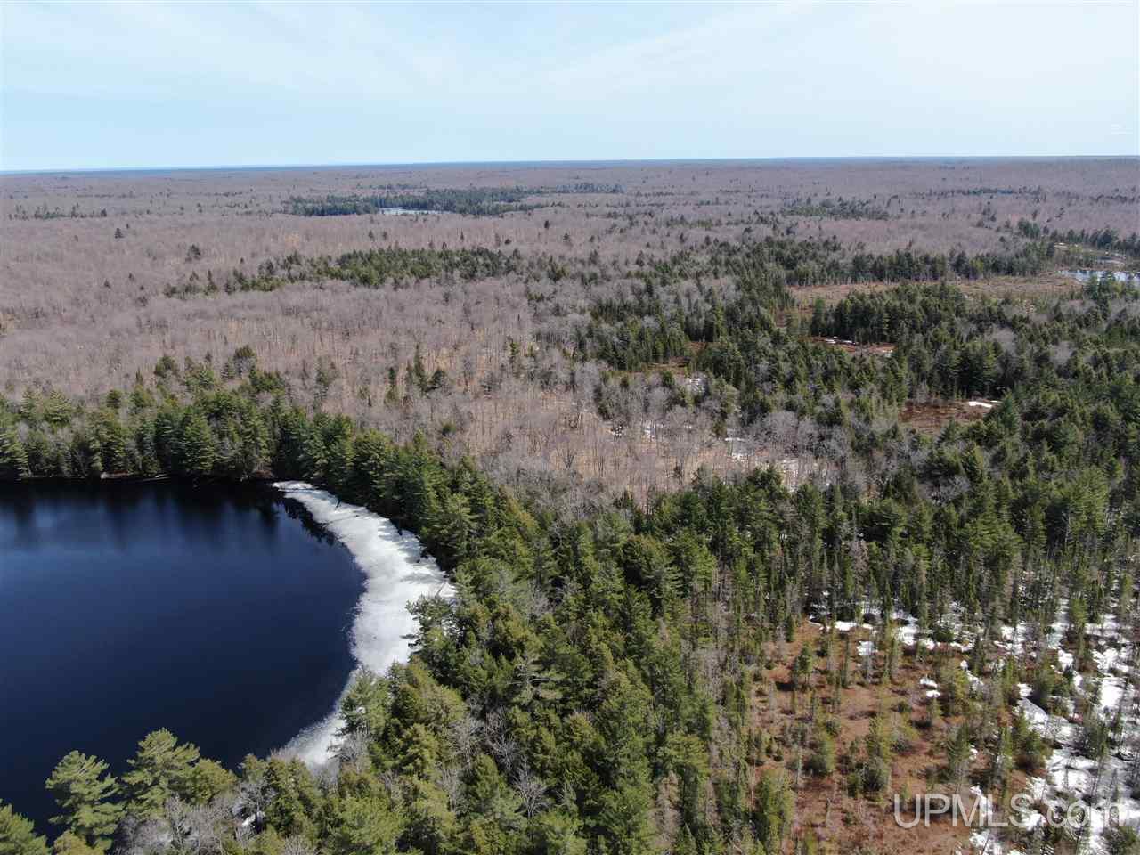 0000 Near Old Seney Road Property Photo 20