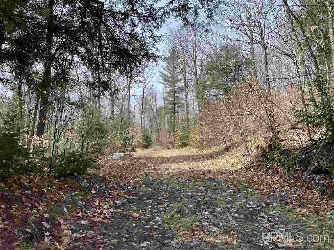 0000 Near Old Seney Road Property Photo 21