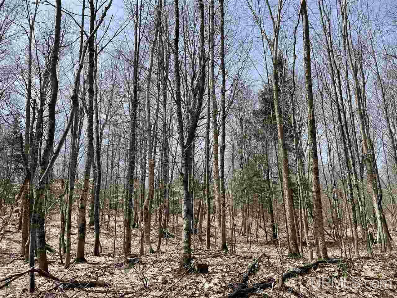 0000 Near Old Seney Road Property Photo 22