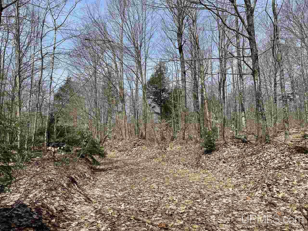 0000 Near Old Seney Road Property Photo 23