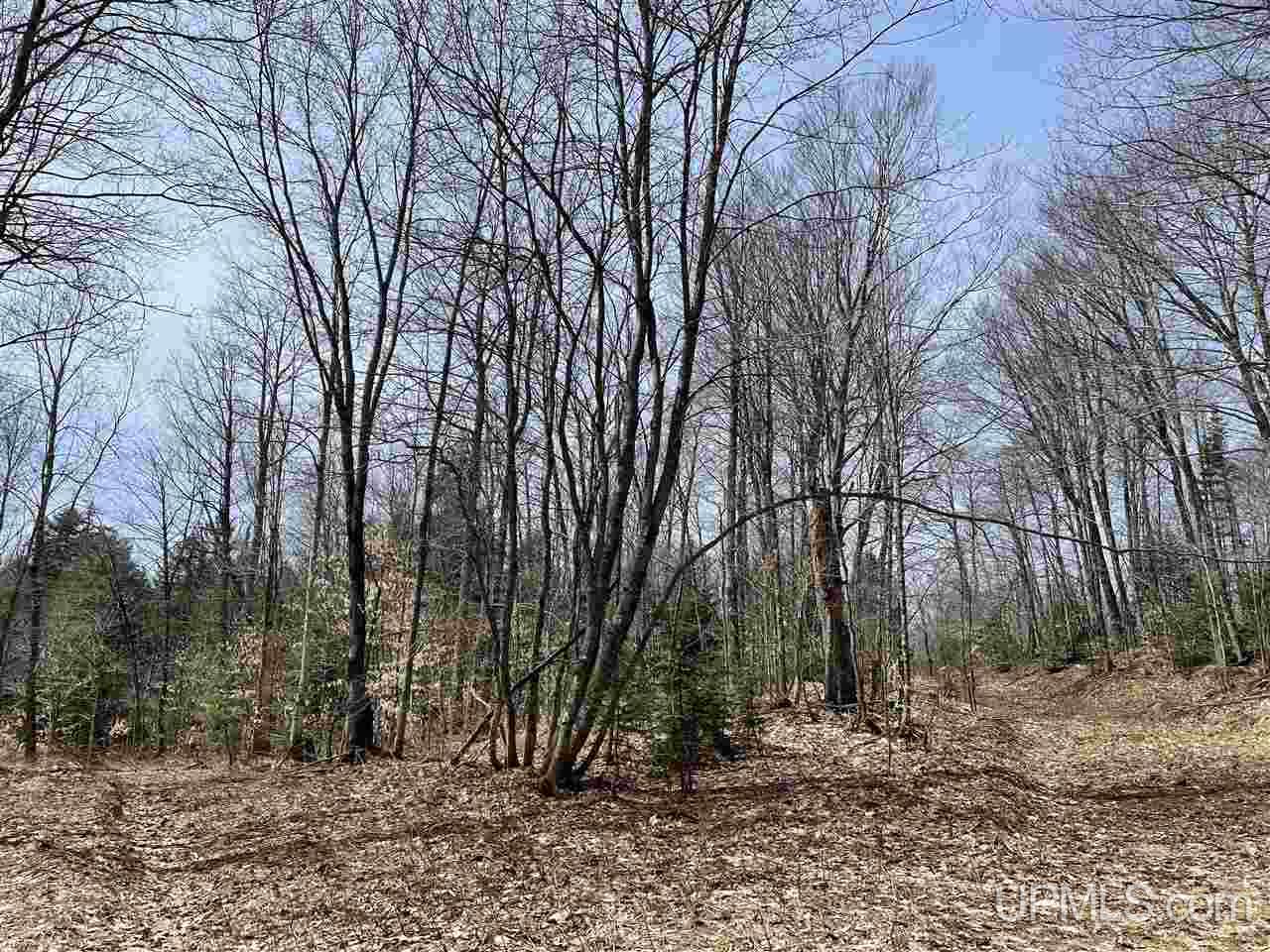 0000 Near Old Seney Road Property Photo 24