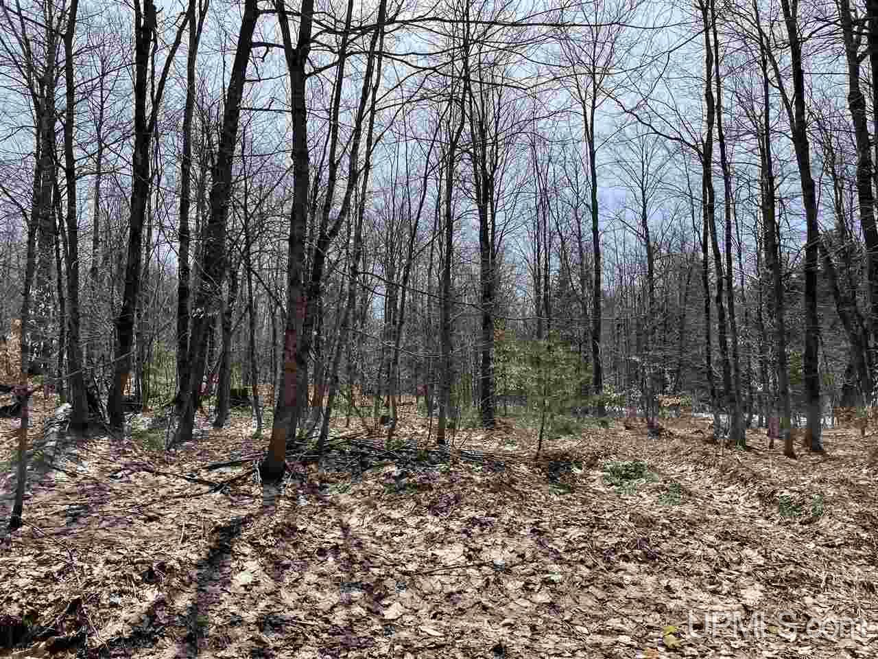 0000 Near Old Seney Road Property Photo 25