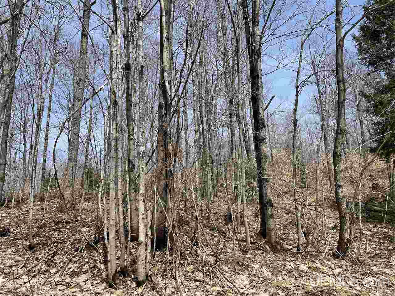 0000 Near Old Seney Road Property Photo 26