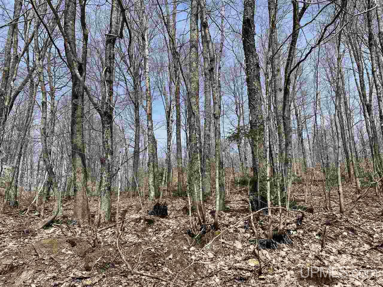 0000 Near Old Seney Road Property Photo 27