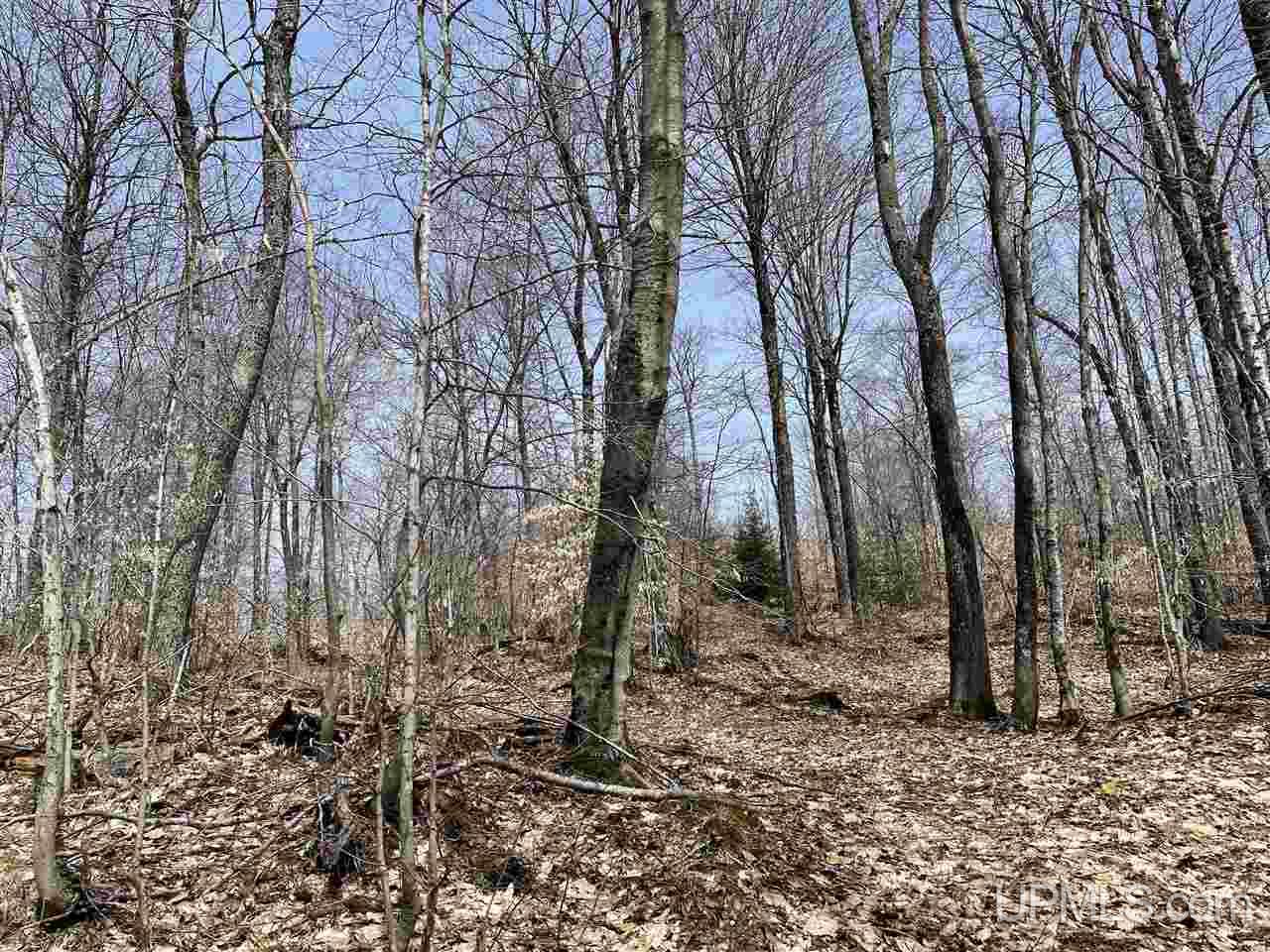 0000 Near Old Seney Road Property Photo 28