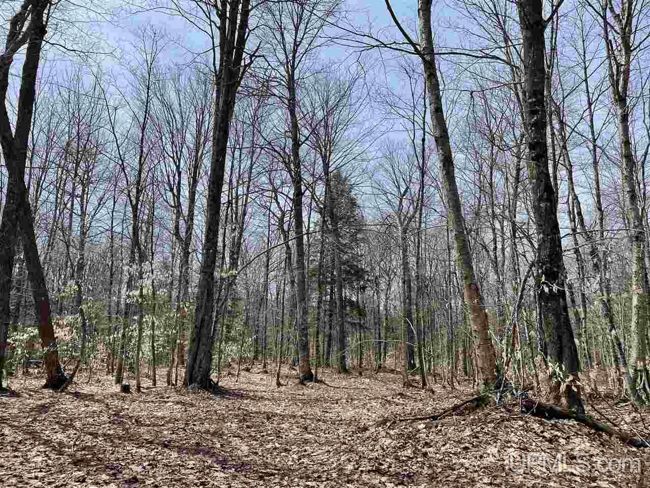 0000 Near Old Seney Road Property Photo 29